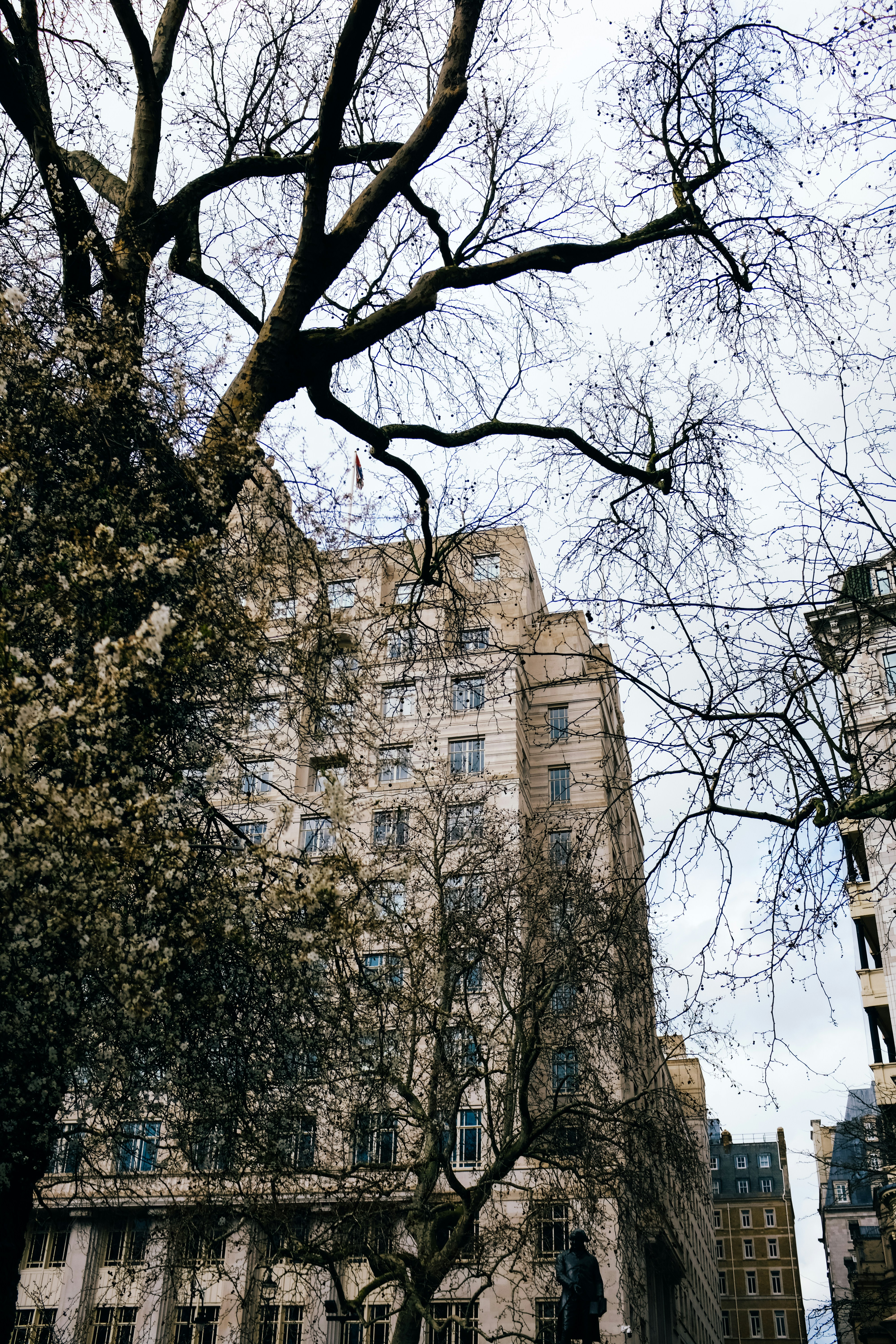 Photo by adrienolichon