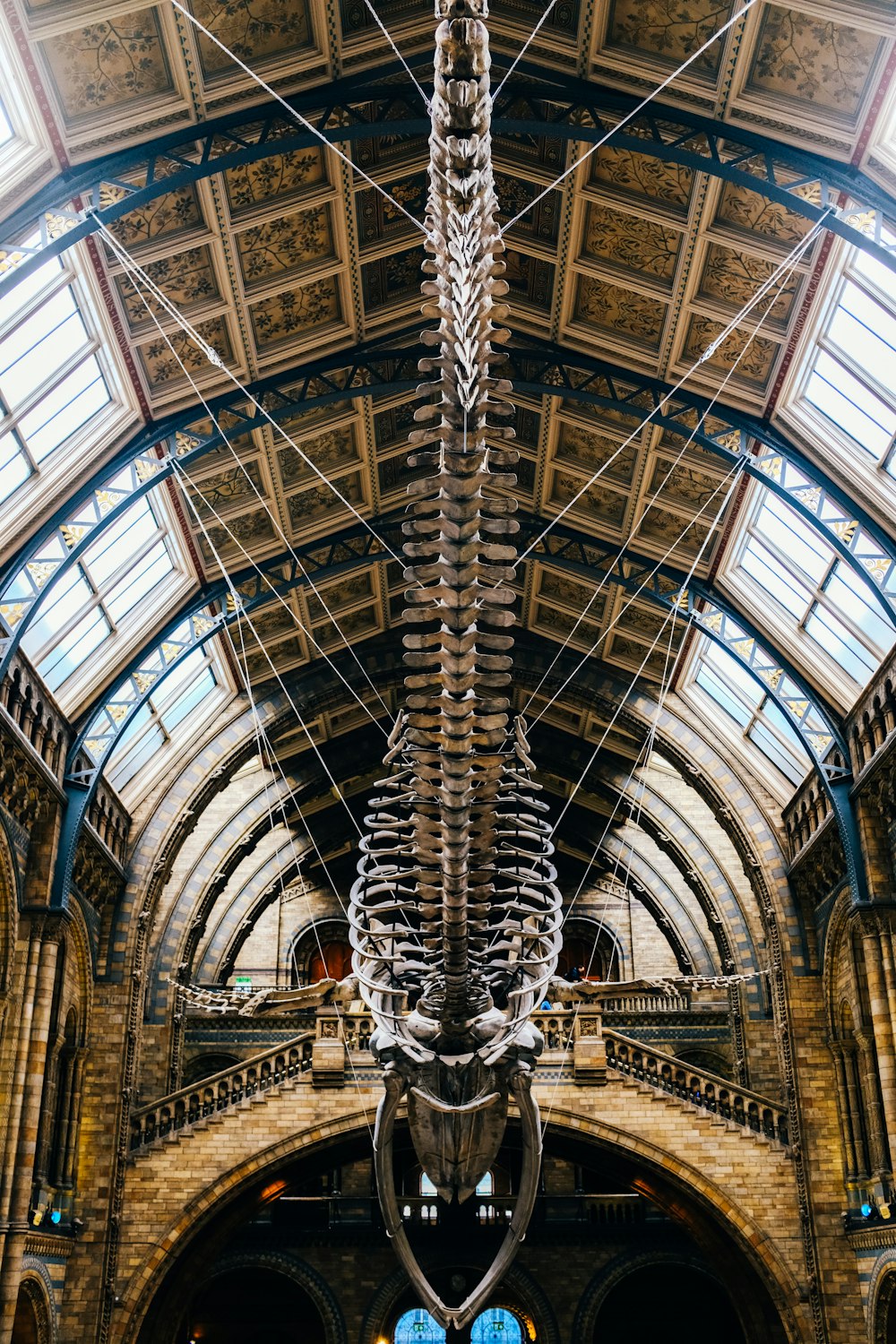 a large skeleton hanging from the ceiling of a building