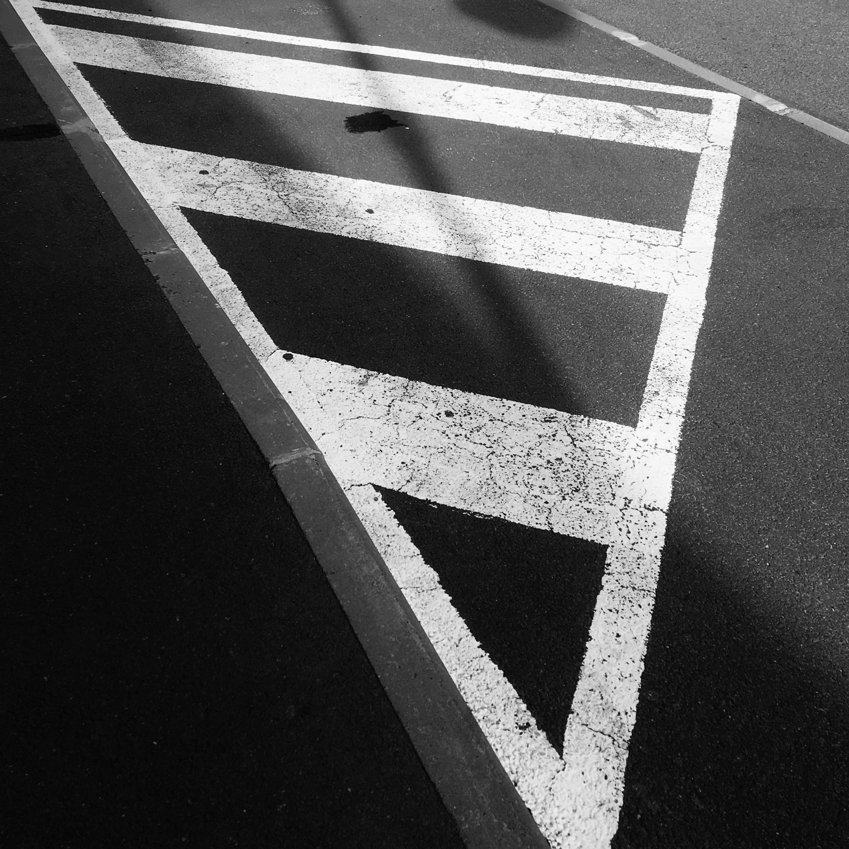 Photo by november_ksu