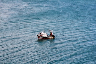 A small fishing boat floats on a vast expanse of calm sea. The water is a rich blue-green, and the boat is painted in contrasting colors with visible equipment on deck.