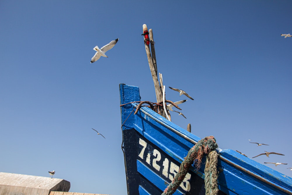 a blue boat with seagulls flying around it