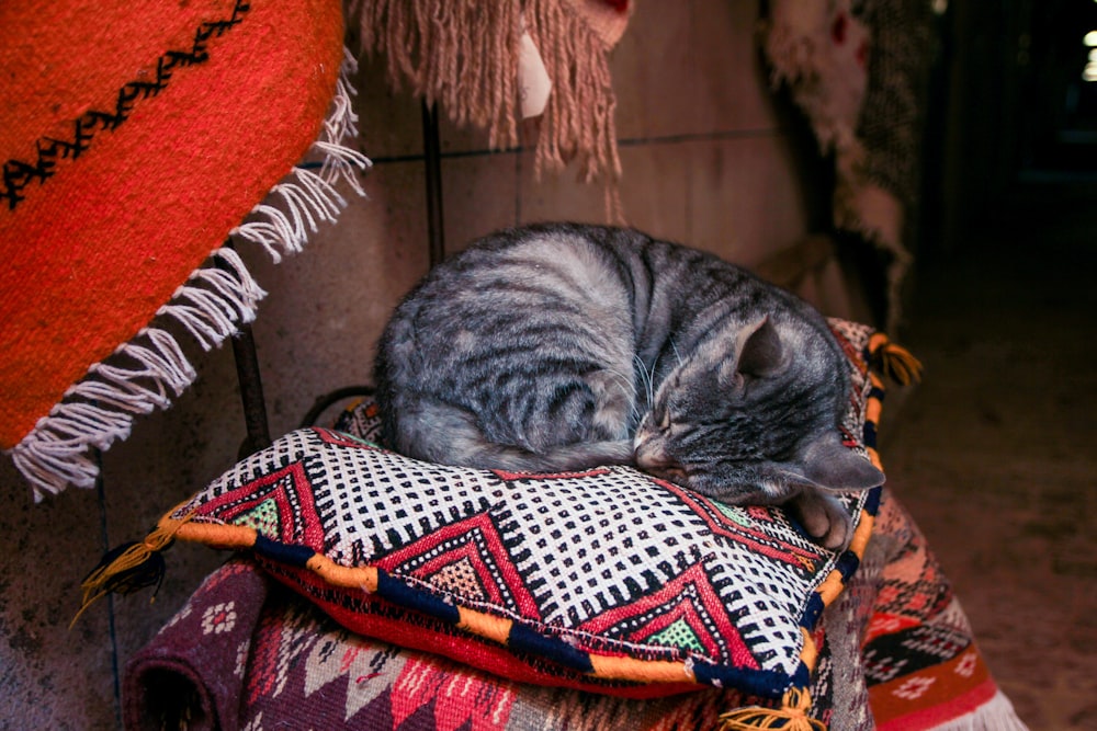 a cat is sleeping on a colorful pillow