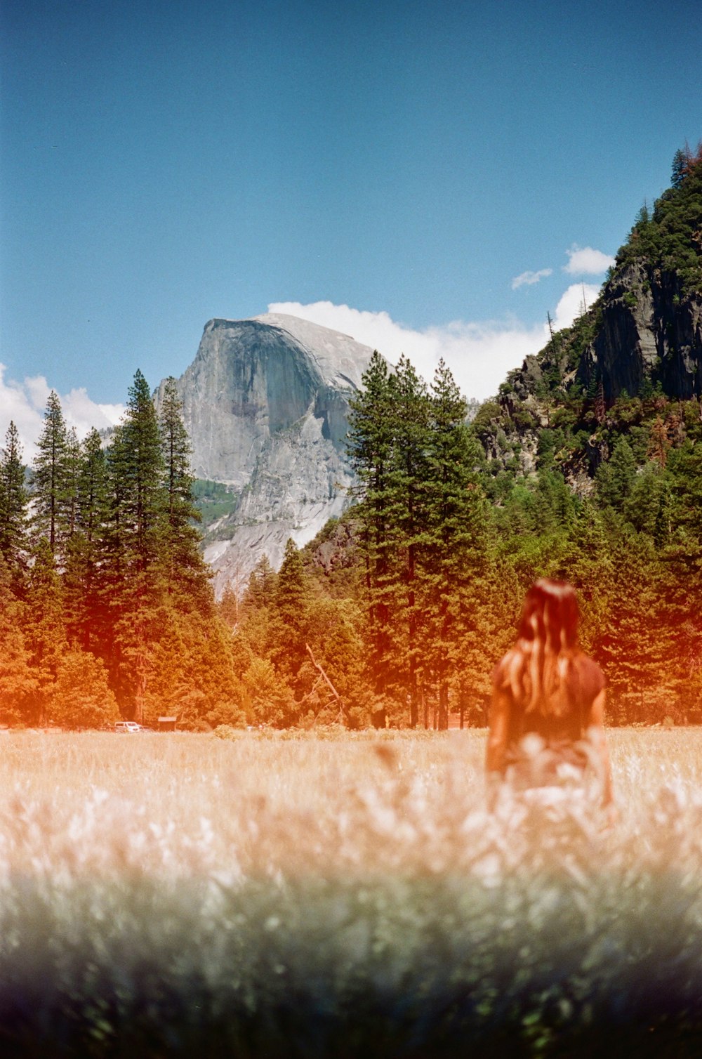 a person standing in a field with a mountain in the background
