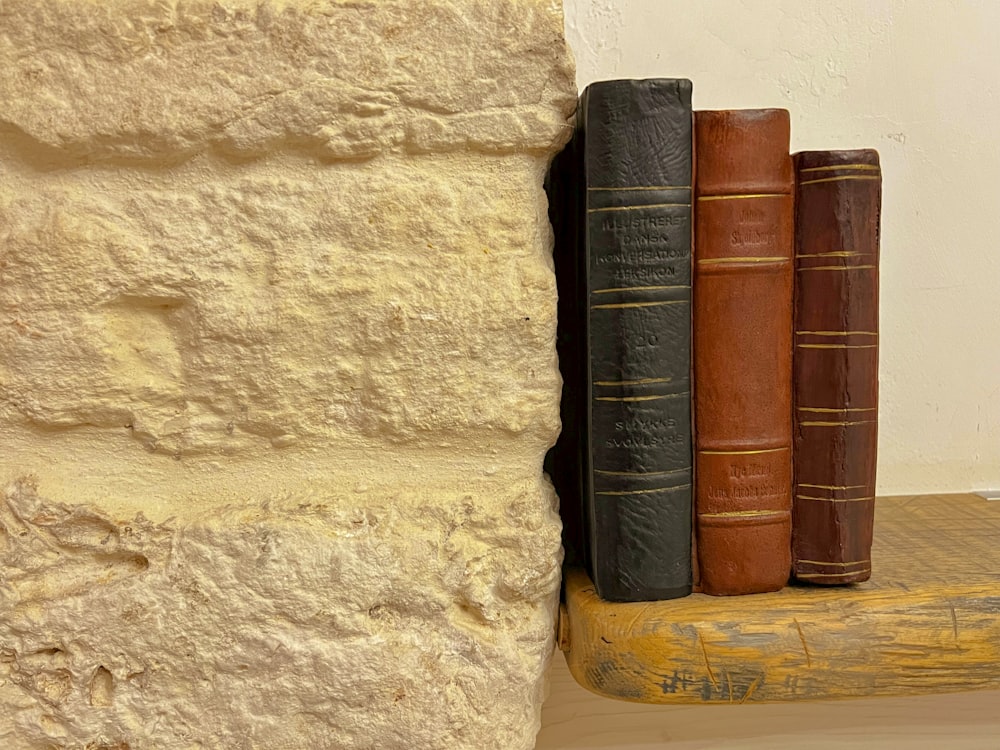 a row of books sitting on top of a wooden shelf