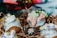 Cupcakes decorated with playful designs, featuring whimsical icing shapes resembling carrots and other colorful, cartoon-like figures. The cupcakes are arranged on shredded brown paper, creating a rustic presentation.