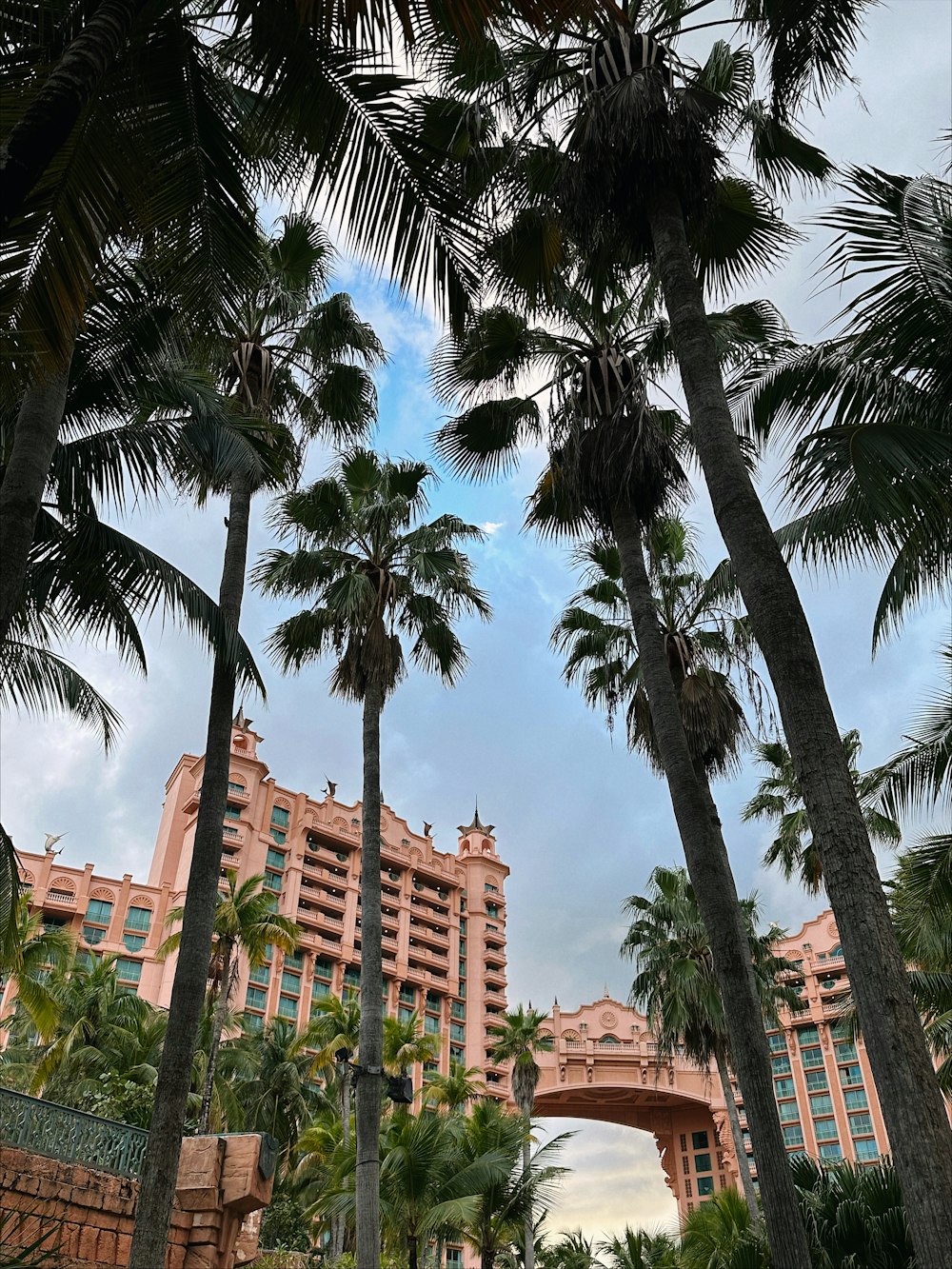 a bunch of palm trees in front of a hotel