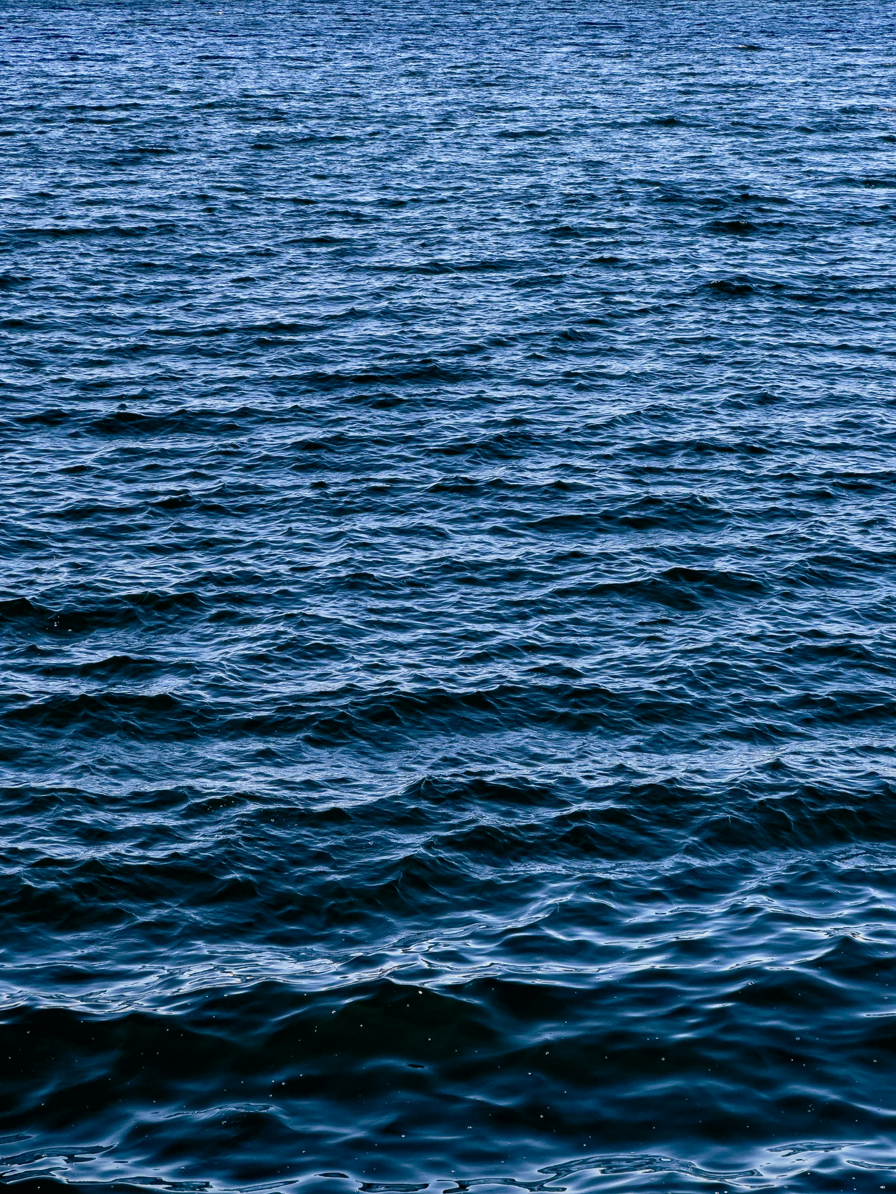 Photo by the_nemesis