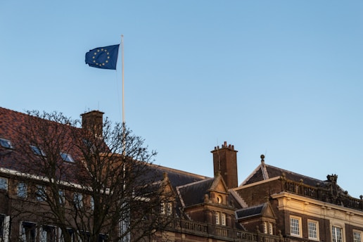 A European Union flag is waving atop a flagpole against a clear blue sky. The scene includes old-style buildings with ornate architectural details and chimneys. Leafless tree branches are visible in the foreground.