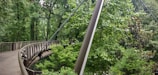 A sleek metal walkway curving gently over mossy forest ground, blending with the natural landscape.