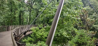 A sleek metal walkway gracefully curving over uneven forest terrain.