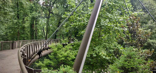 Elevated walkway in a park constructed with durable PRFV materials