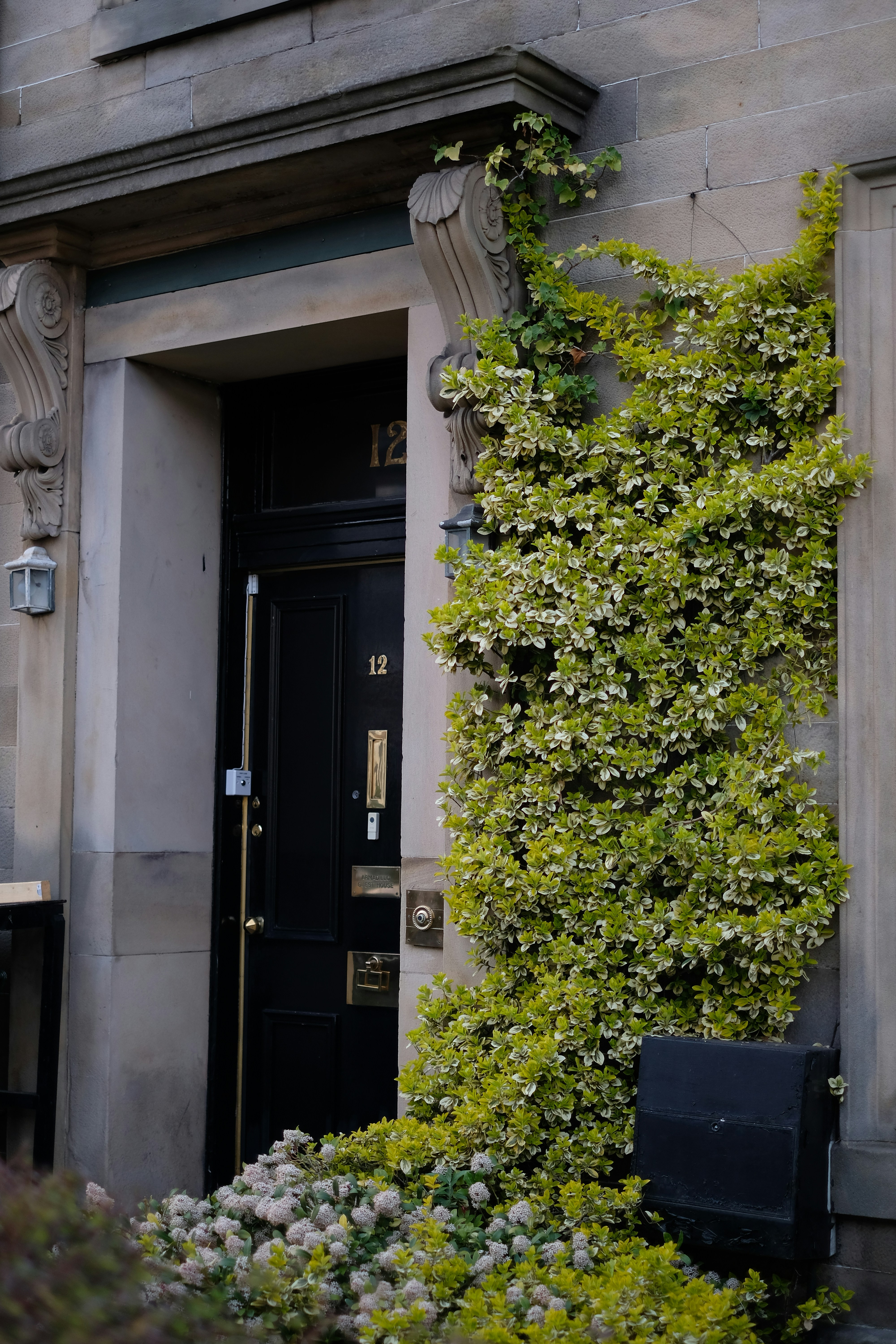 Photo by zaralazarov