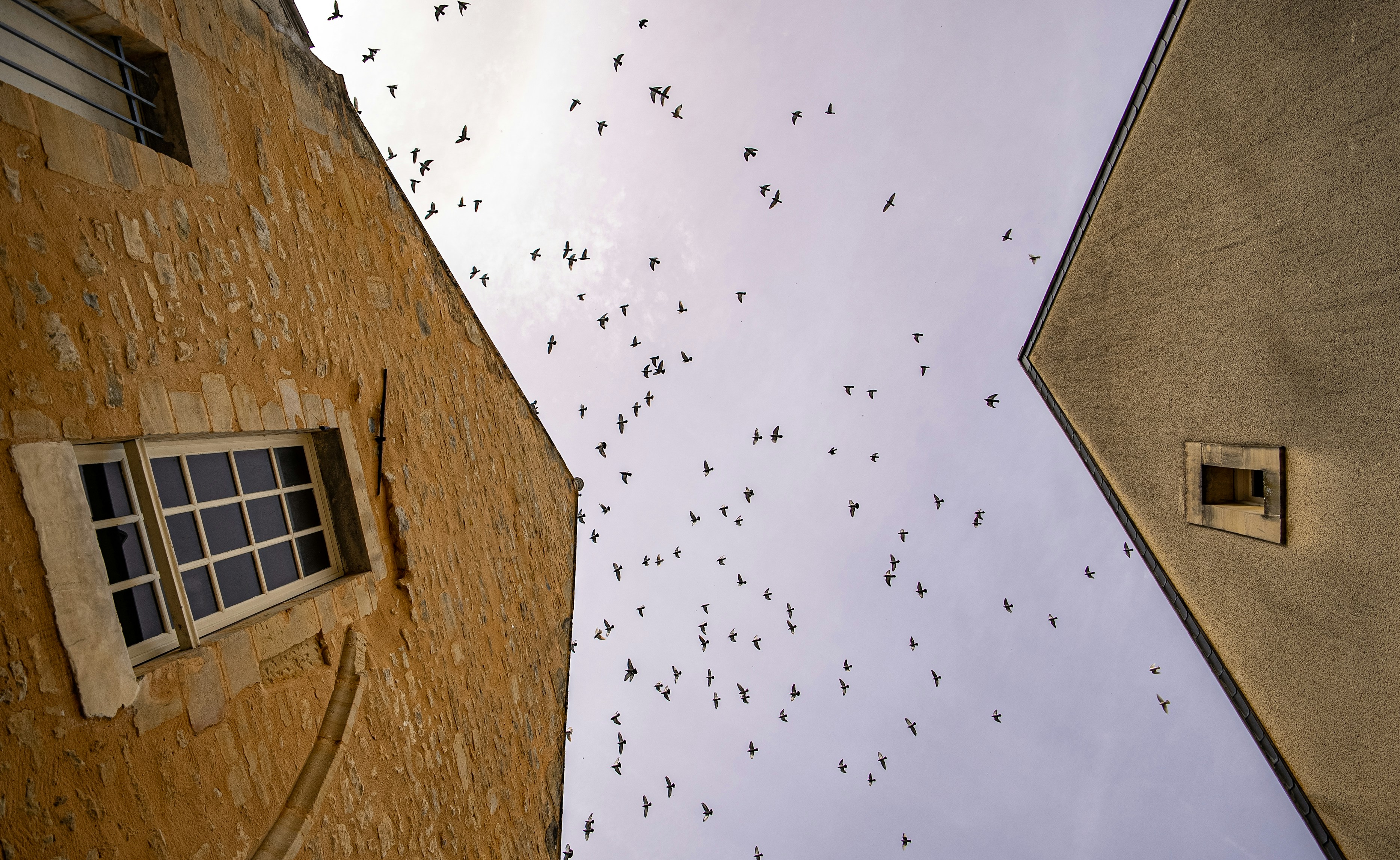 Cities That Listen Can Change The World