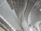 Curved and linear metal structures form an intricate roof design. The architecture appears modern with a focus on geometric patterns and clean lines. The ceiling panels reflect light, adding a sense of brightness and spaciousness to the area.