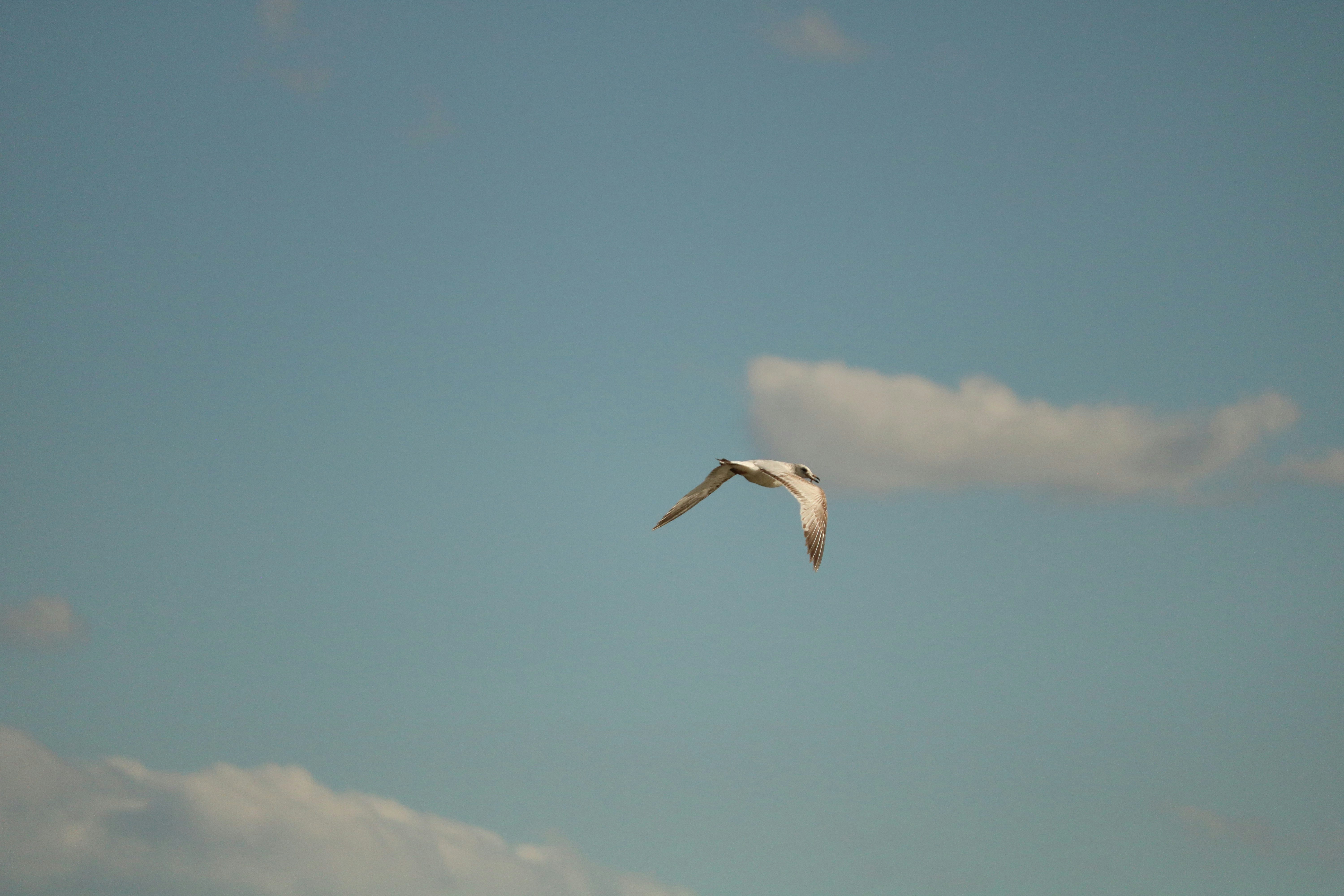 Photo by gagandeep96