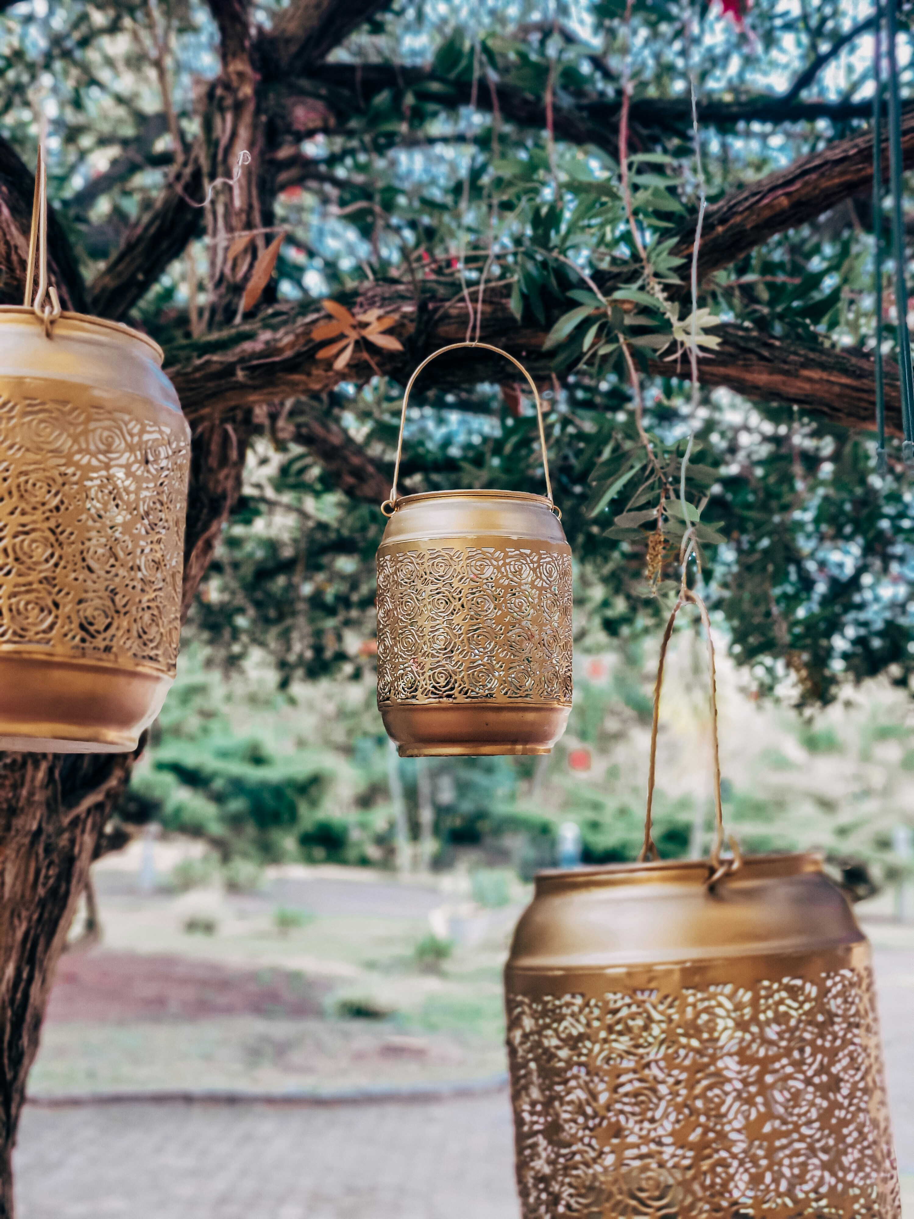 Fotomural a group of hanging lanterns hanging from a tree