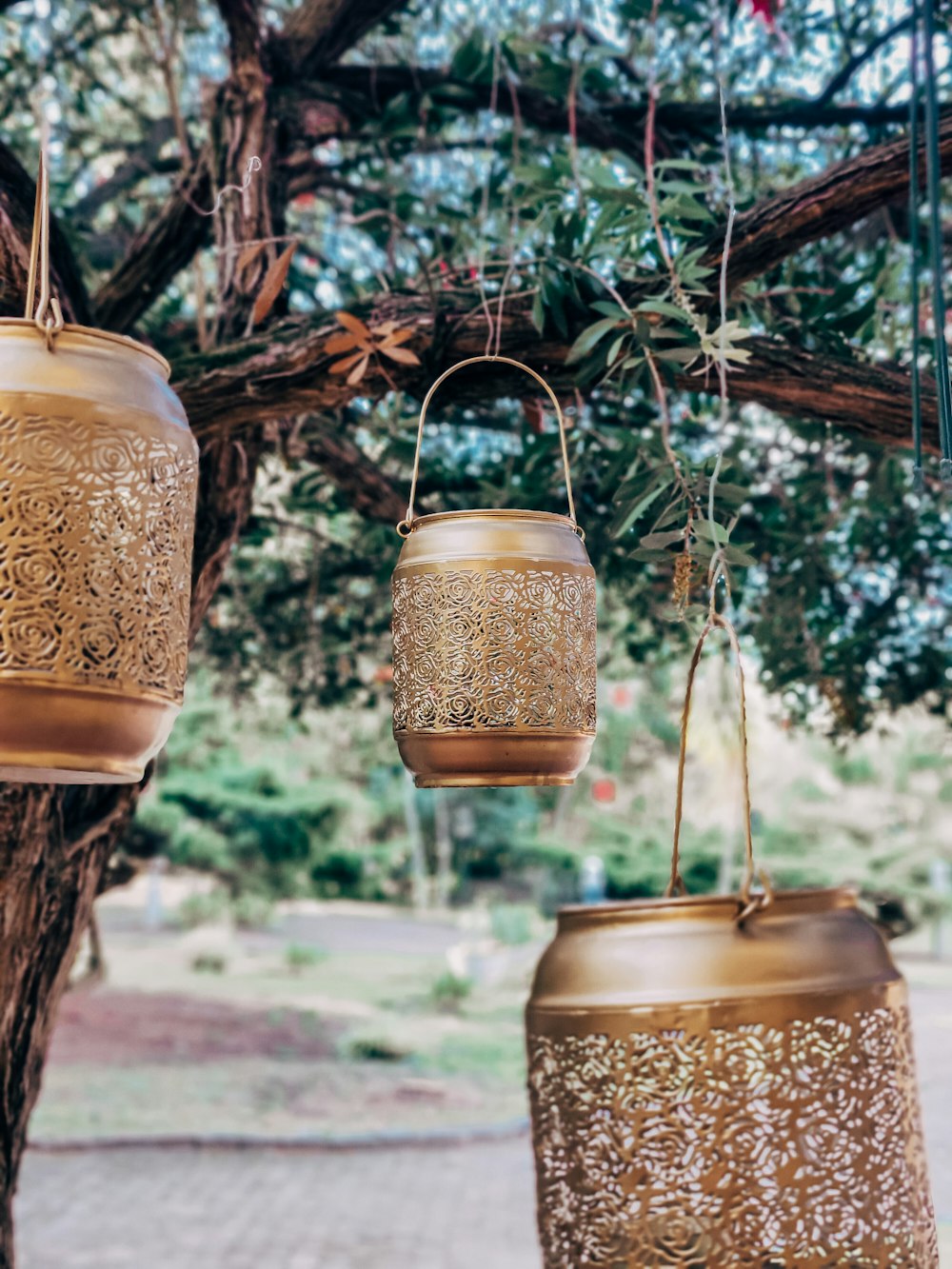 a group of hanging lanterns hanging from a tree