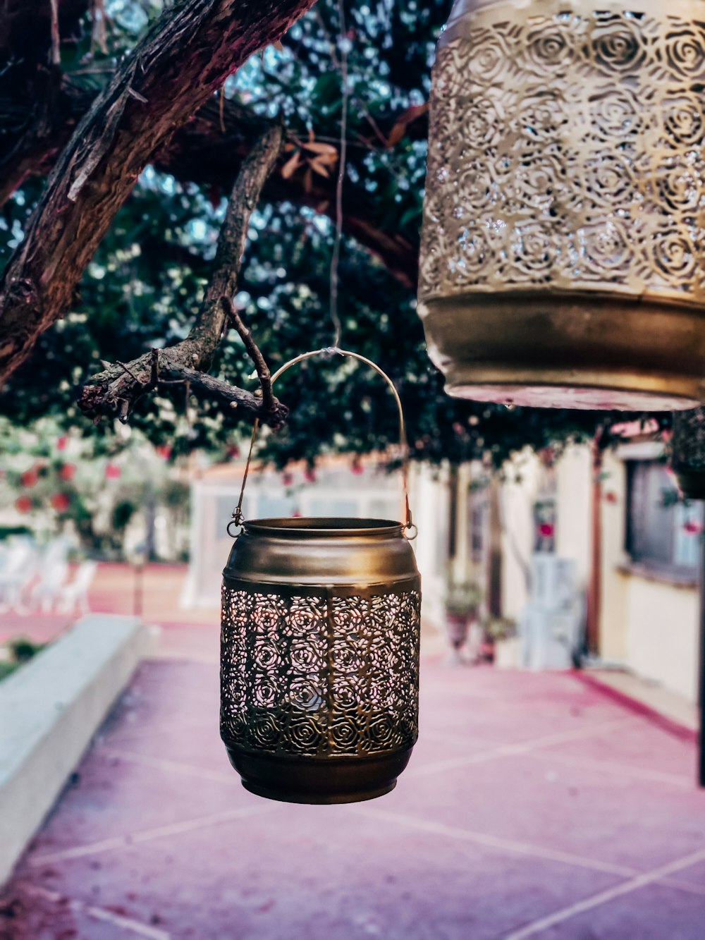 a lantern hanging from a tree in front of a building