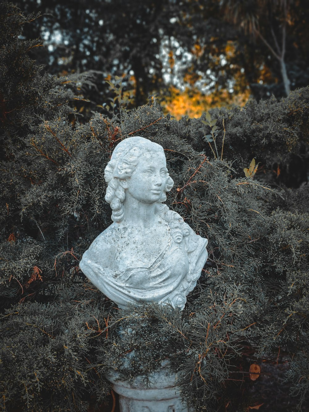 a statue of a man surrounded by bushes