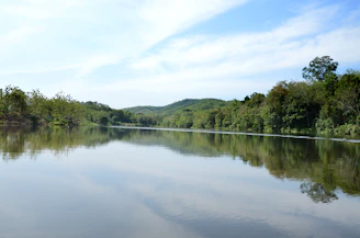A quiet river flowing through lush greenery, reflecting the sky above.