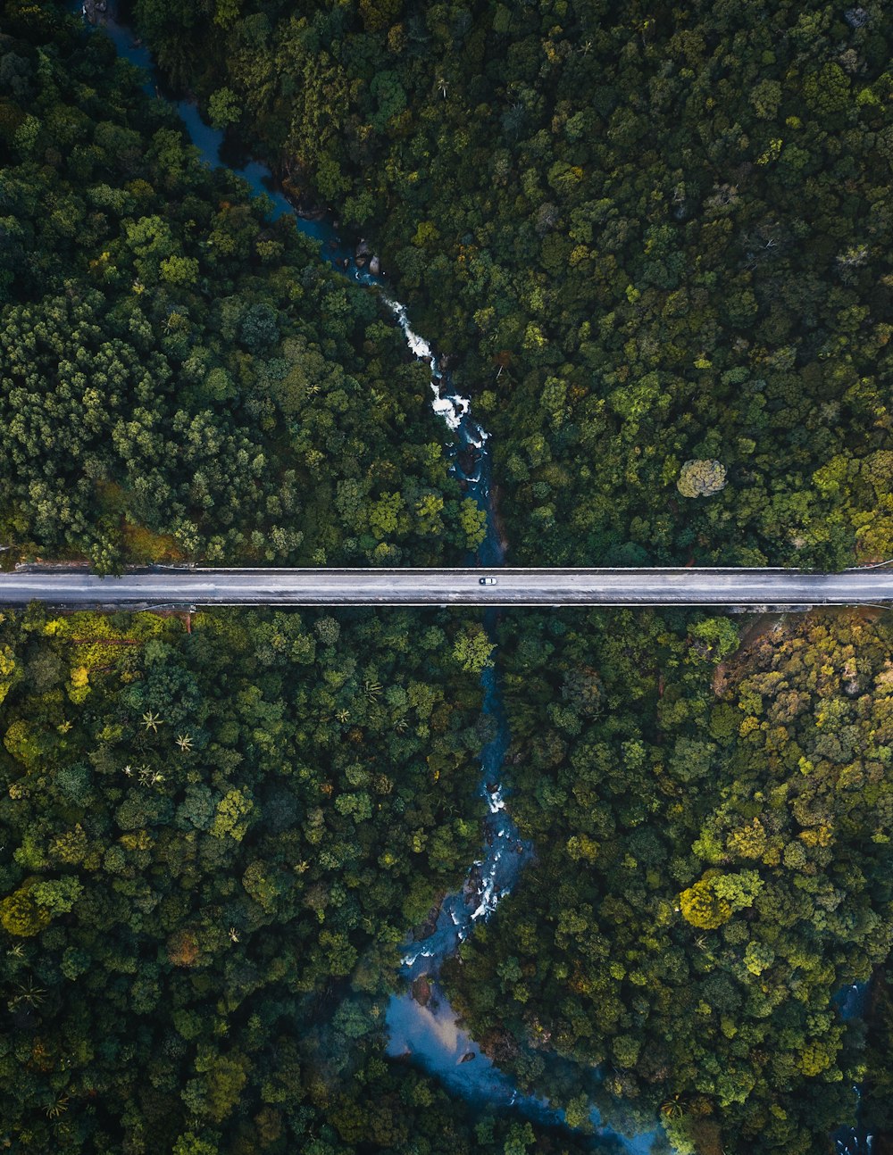 an aerial view of a road in the middle of a forest