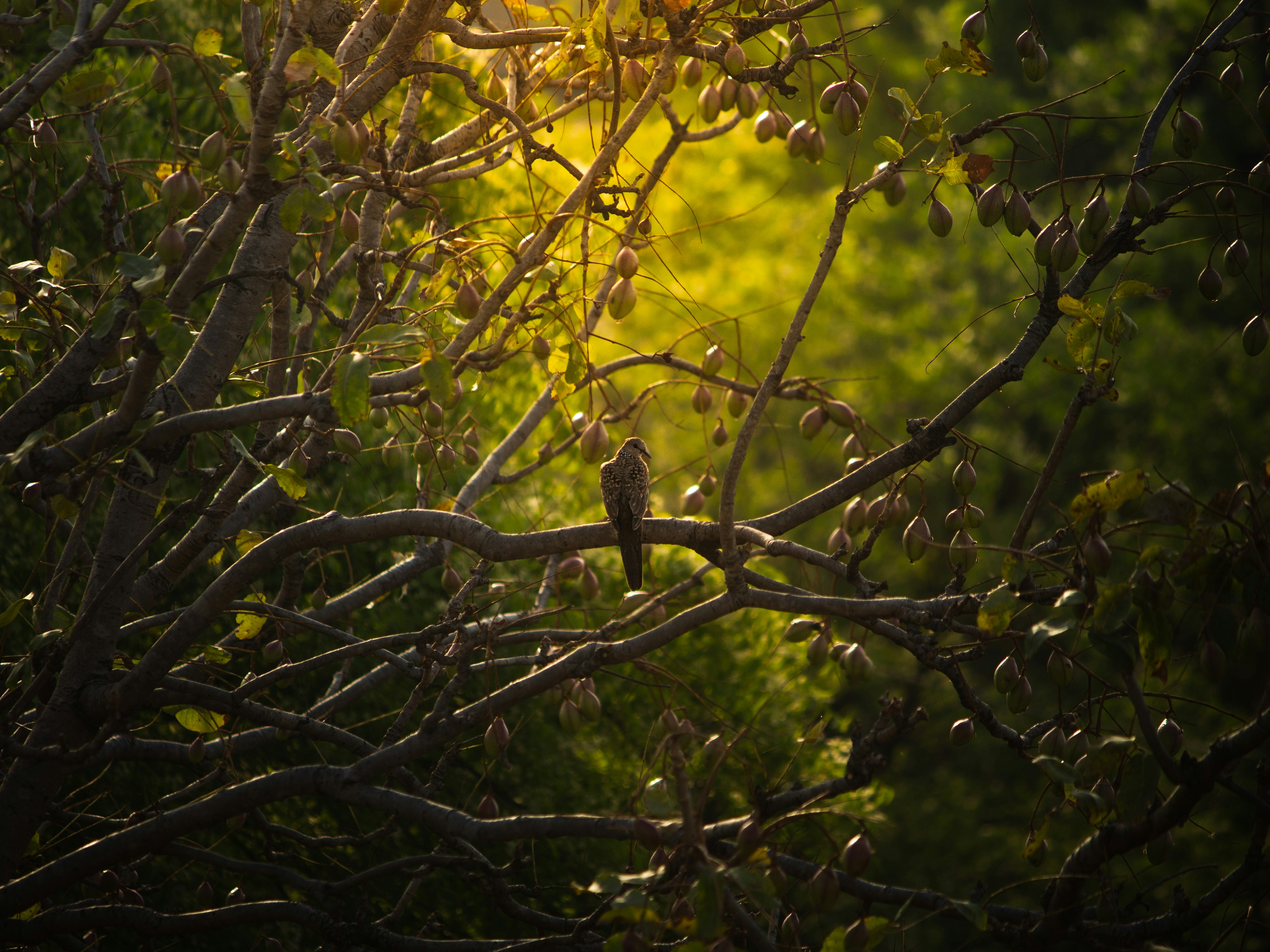 Photo by harshit_suryawanshi