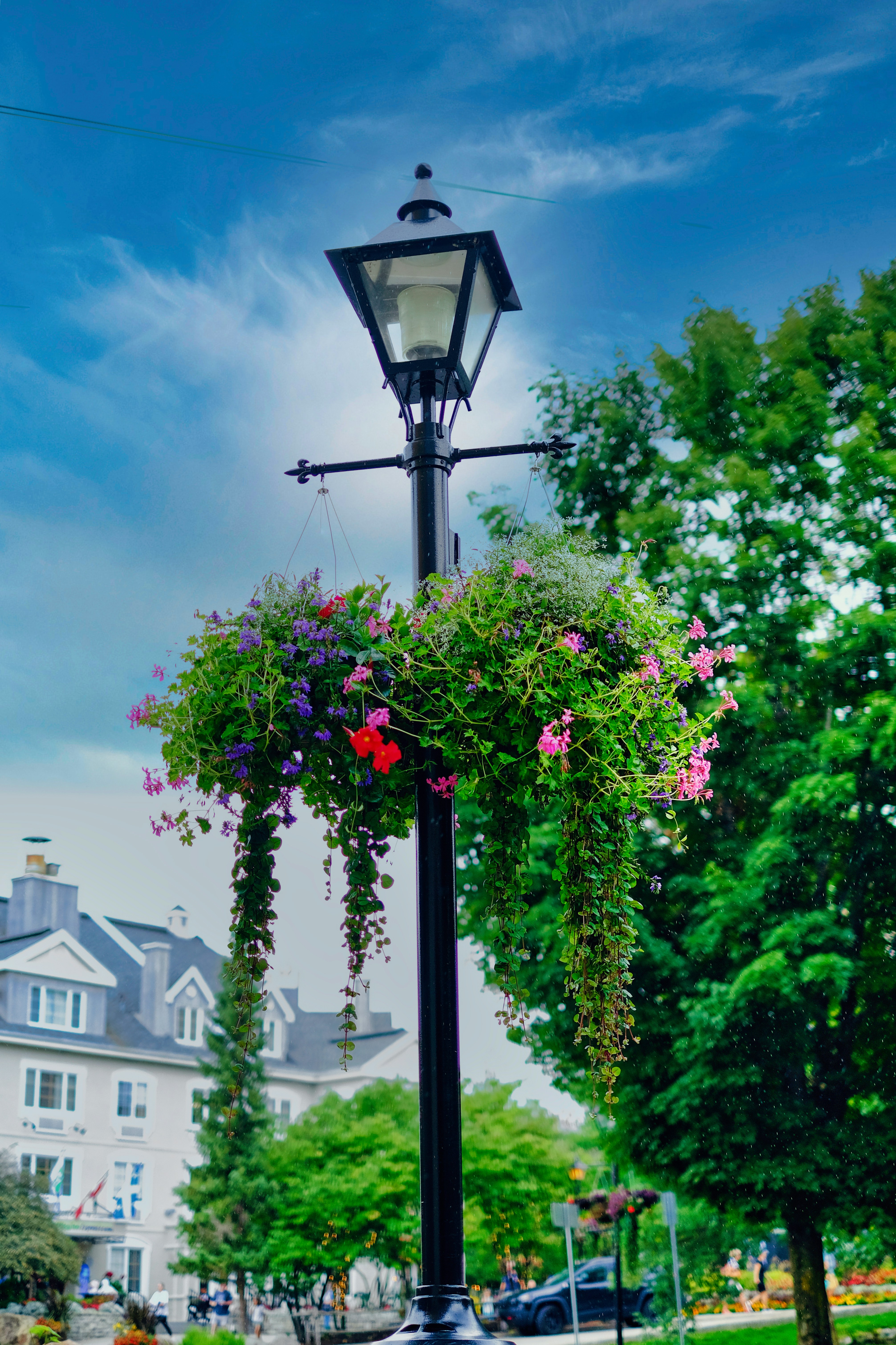 Photo by surjasendas