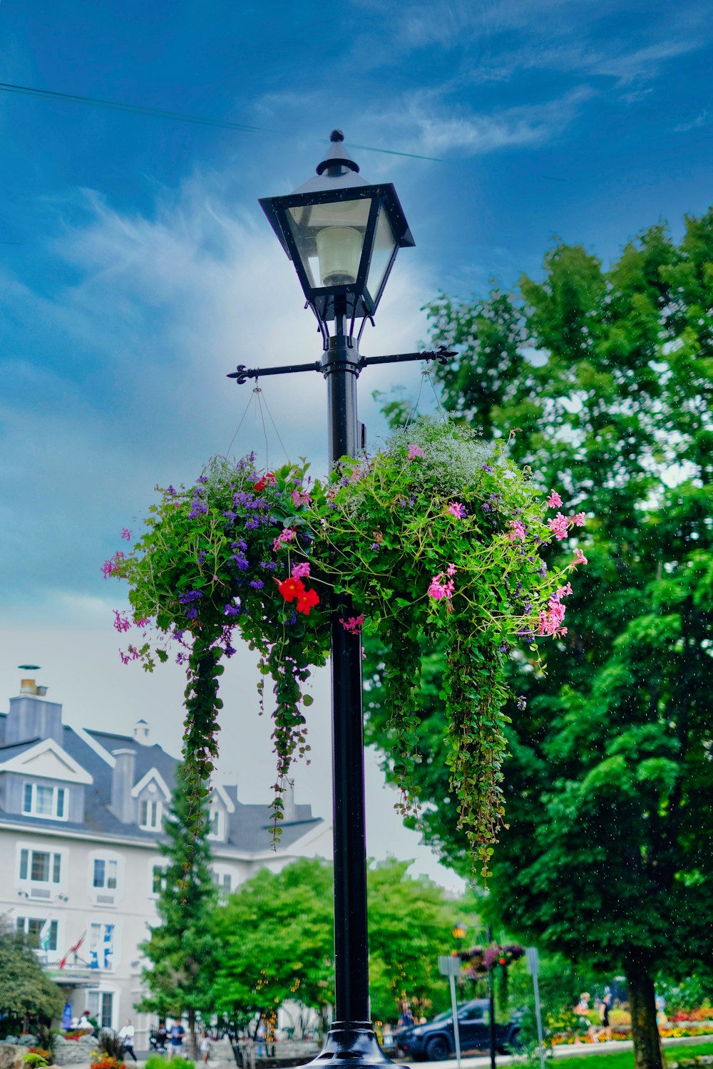 a lamp post with flowers hanging from it