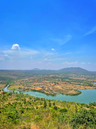 a large body of water surrounded by lush green trees