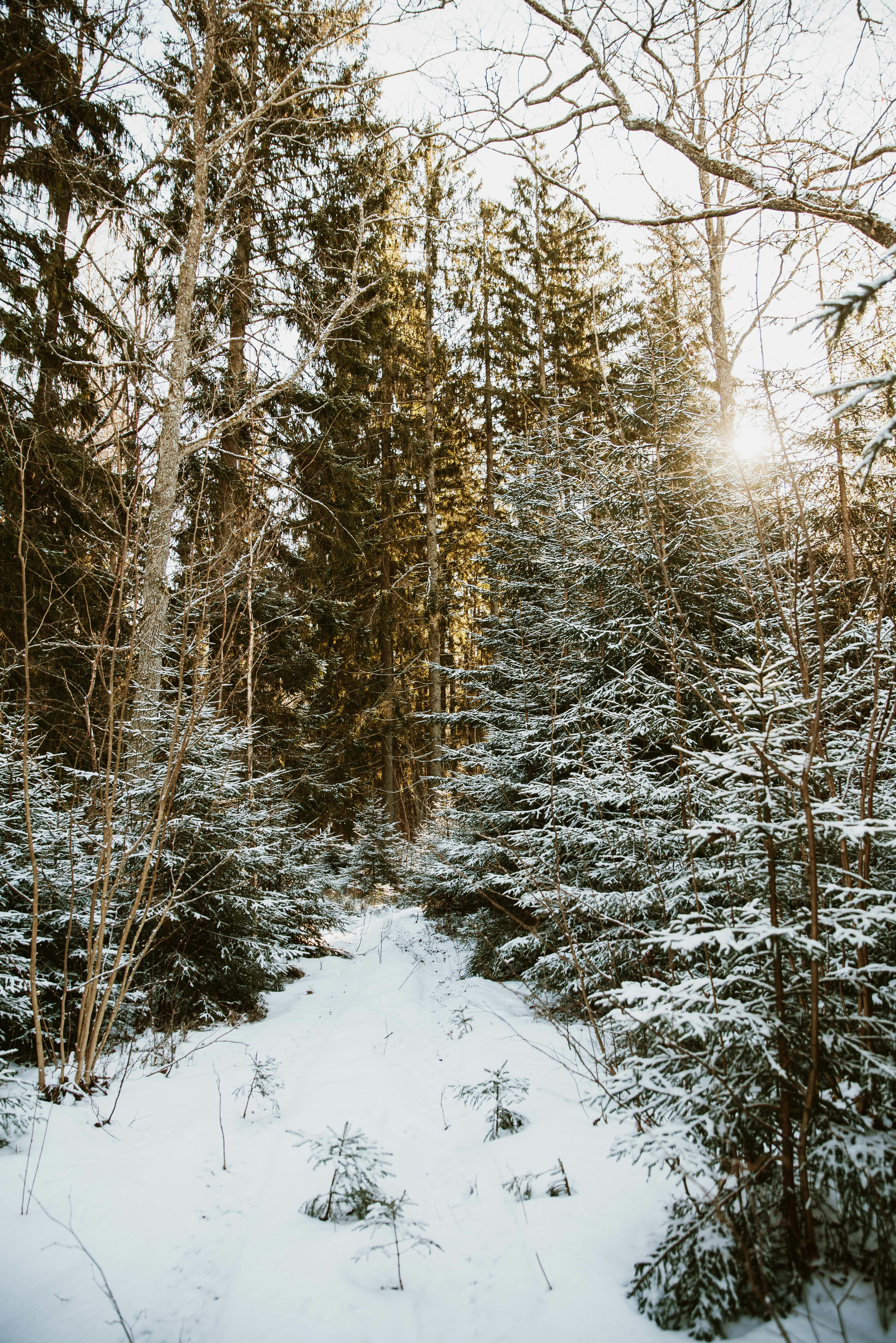 Photo by anitaaustvika