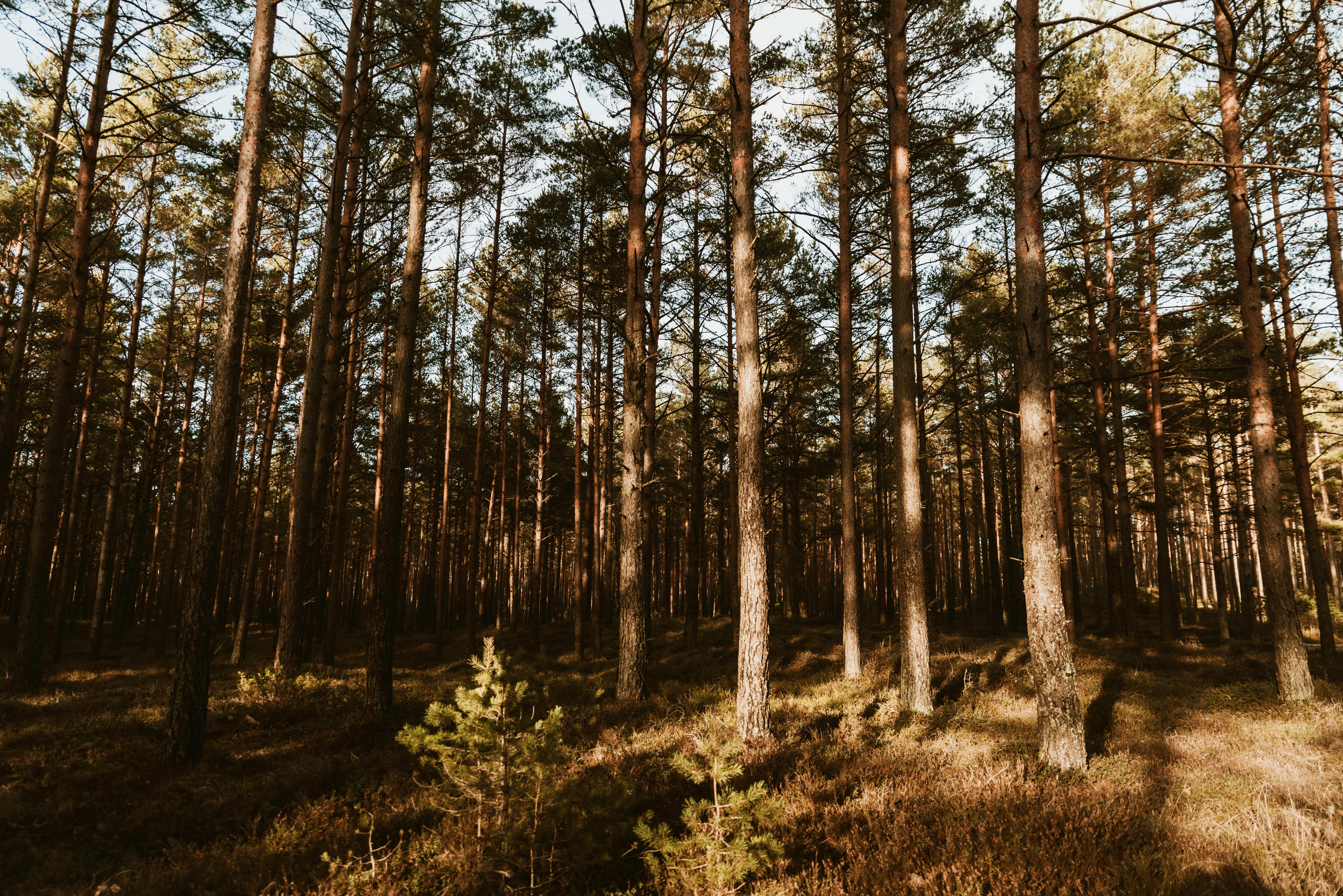 Photo by anitaaustvika