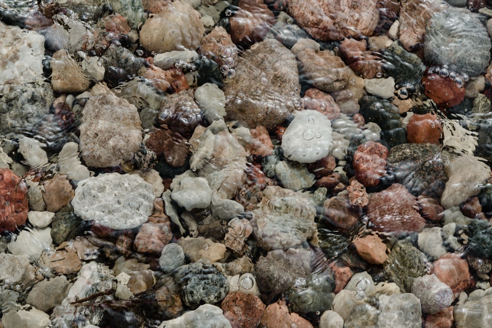 a bunch of rocks that are on the ground