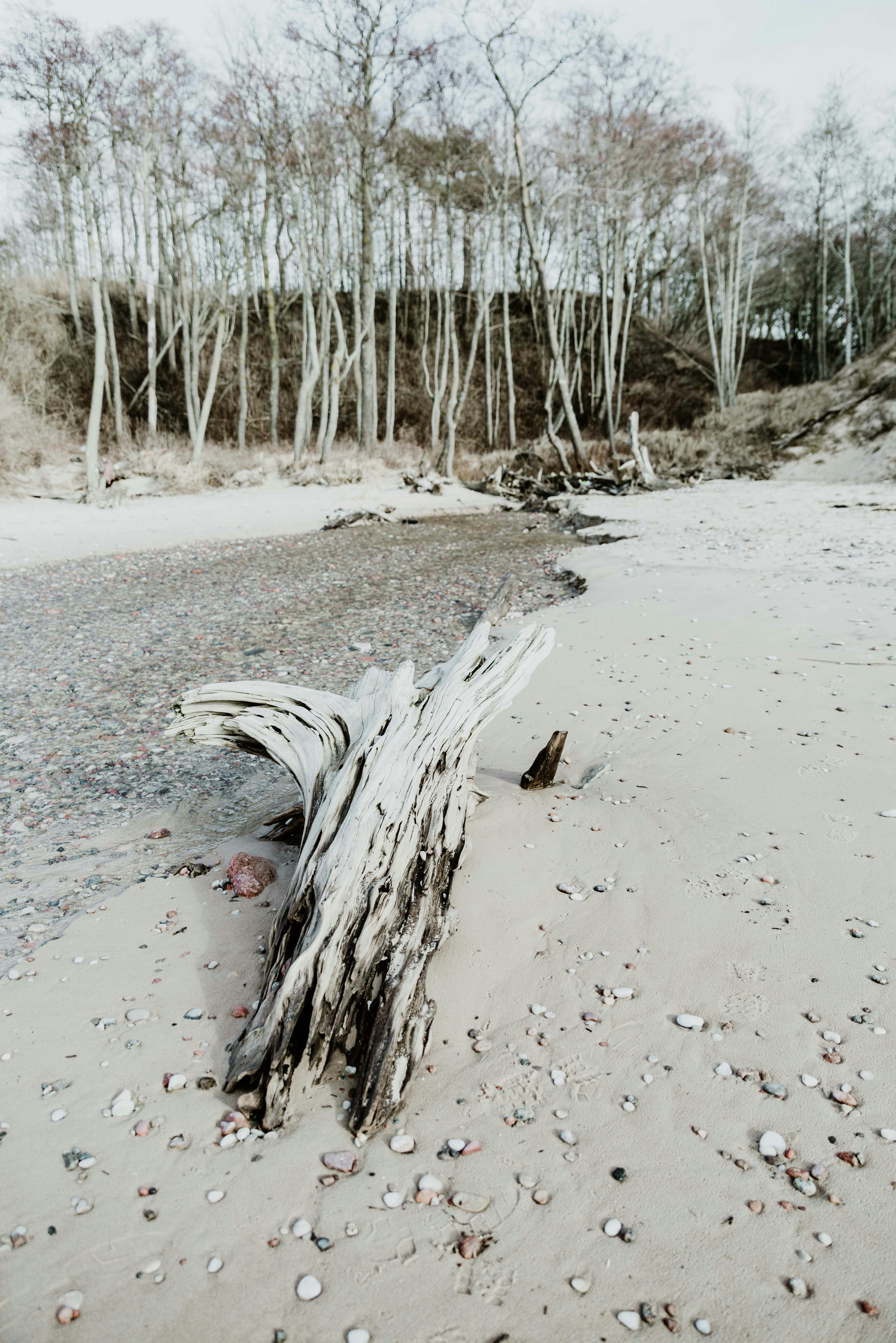 Photo by anitaaustvika