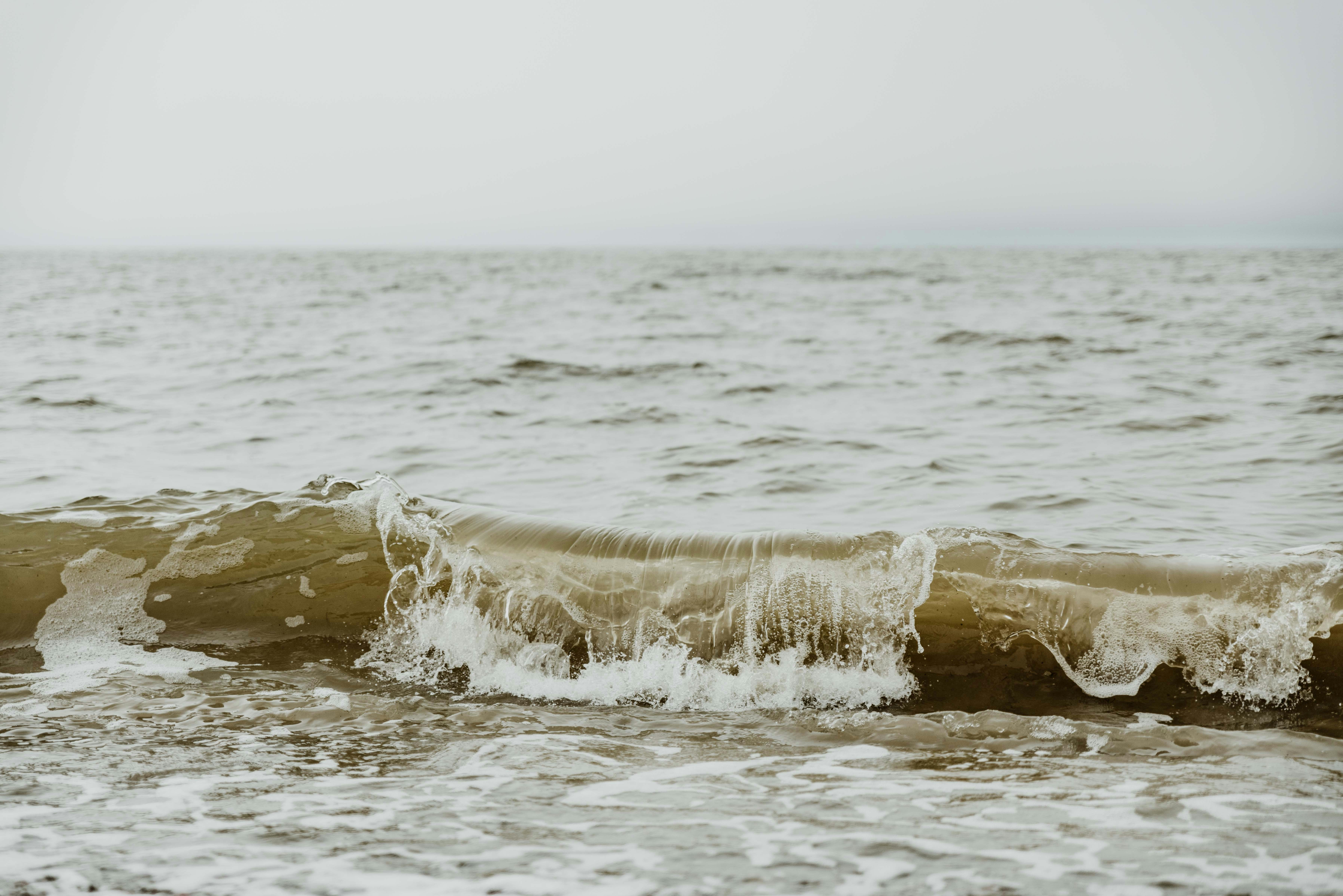 Photo by anitaaustvika