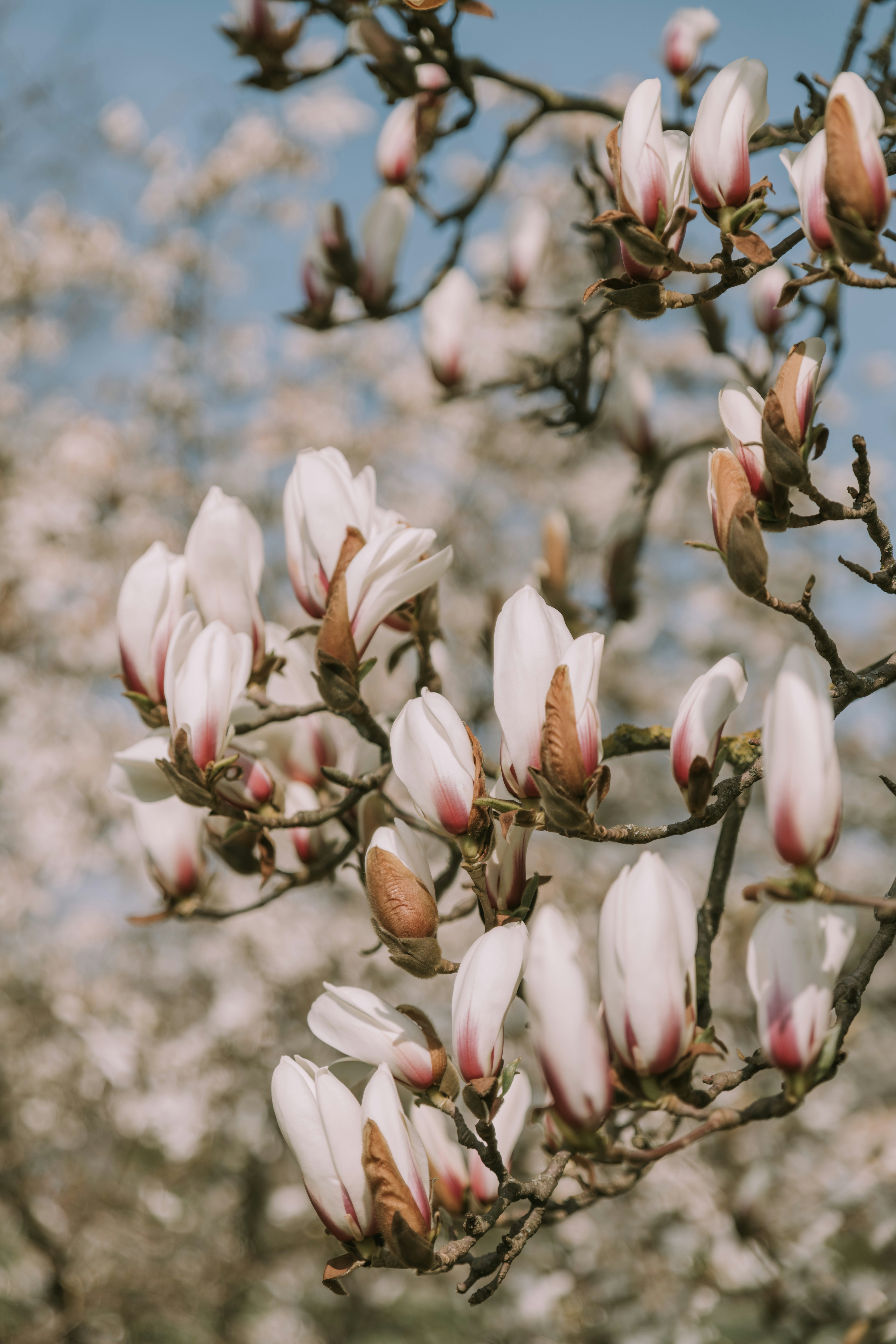 Photo by anitaaustvika