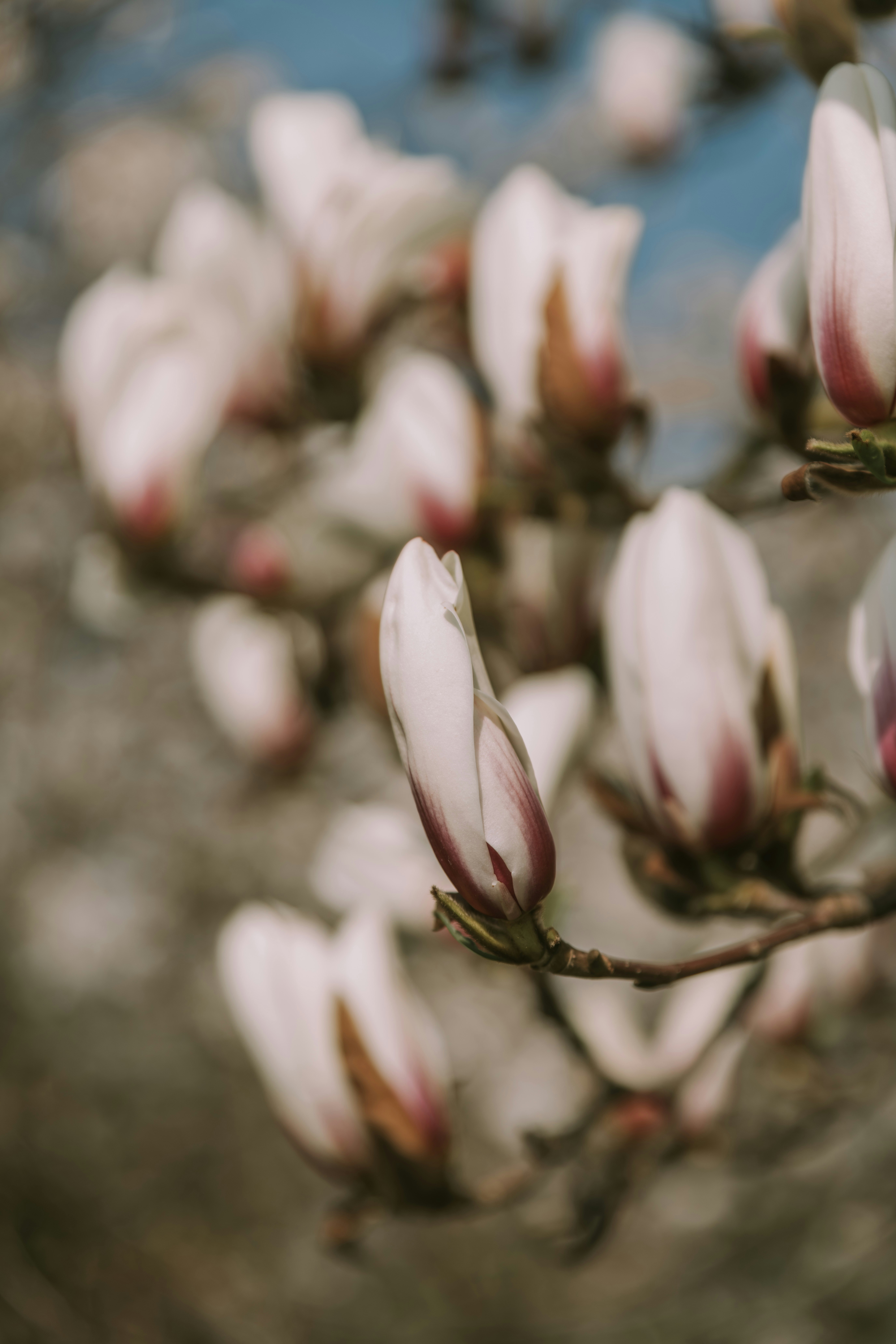 Photo by anitaaustvika