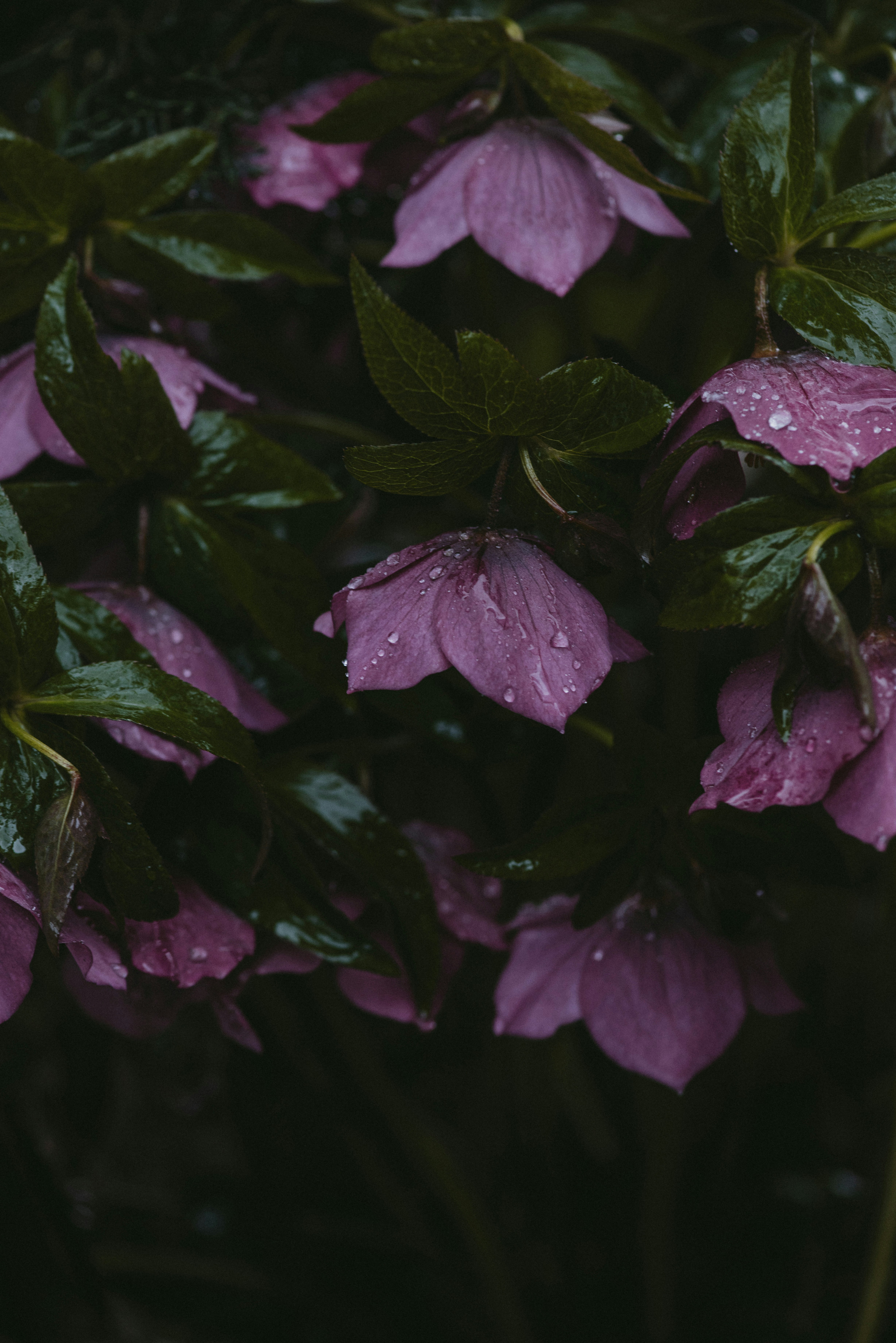 Photo by anitaaustvika