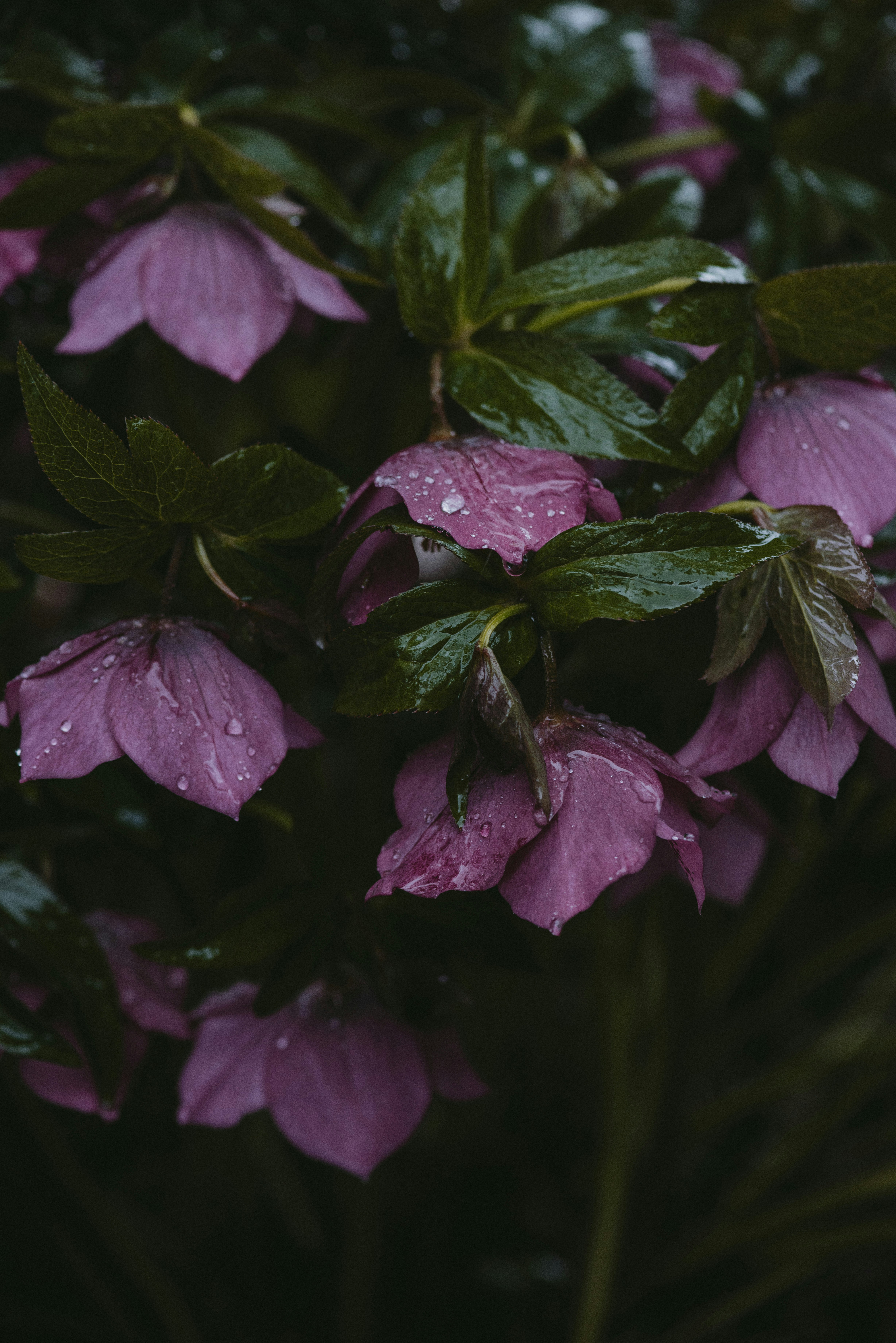 Photo by anitaaustvika