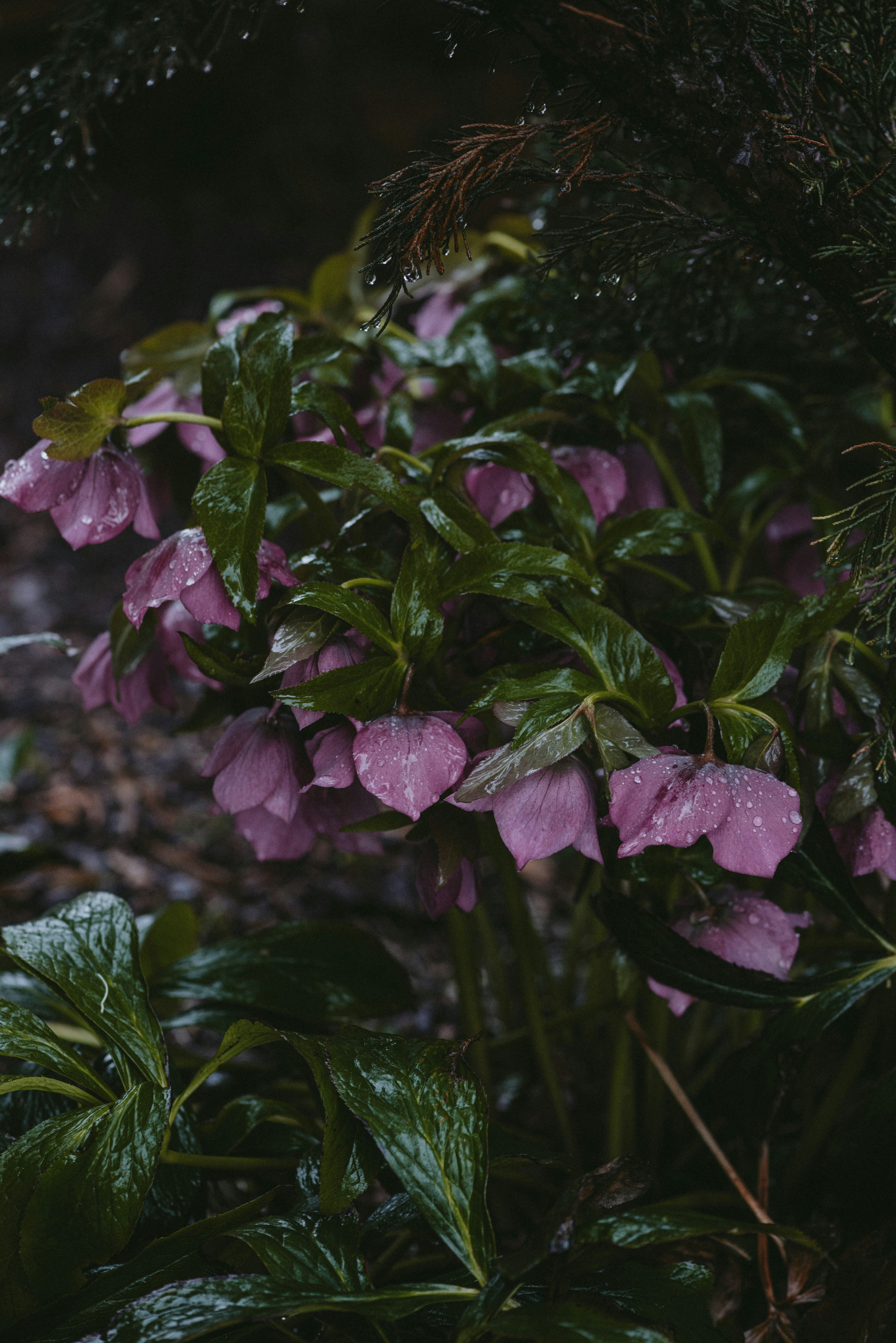Photo by anitaaustvika