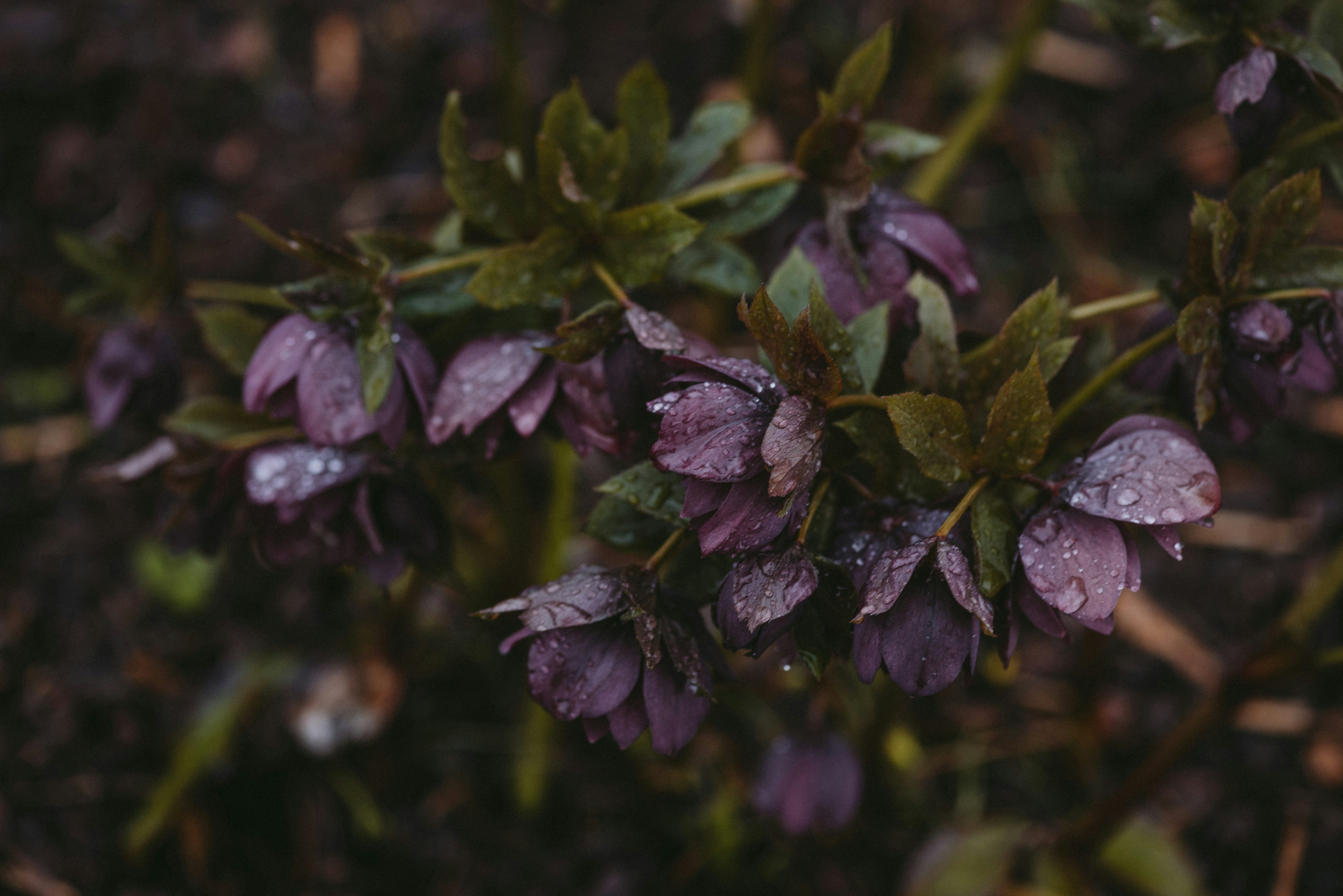 Photo by anitaaustvika