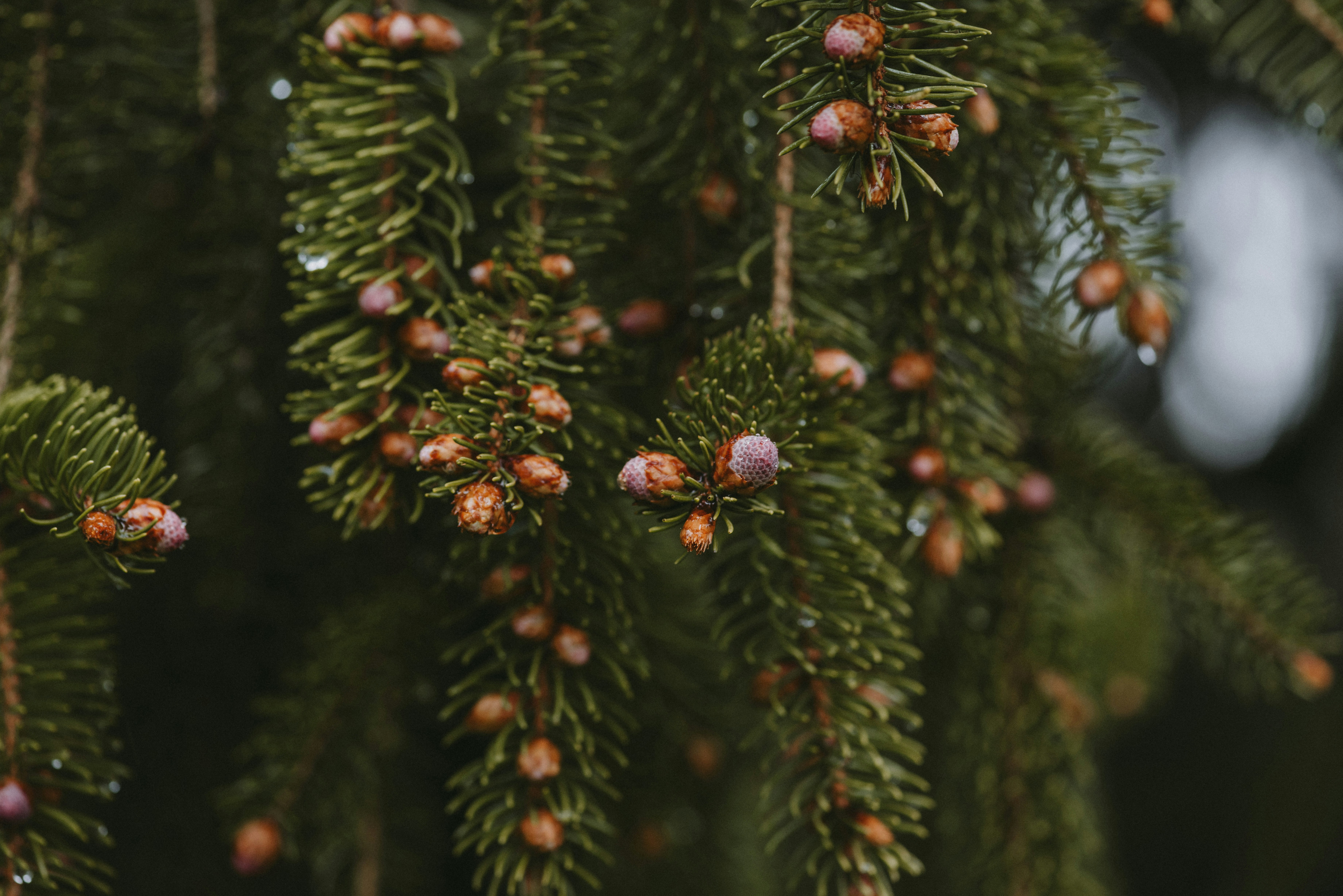 Photo by anitaaustvika