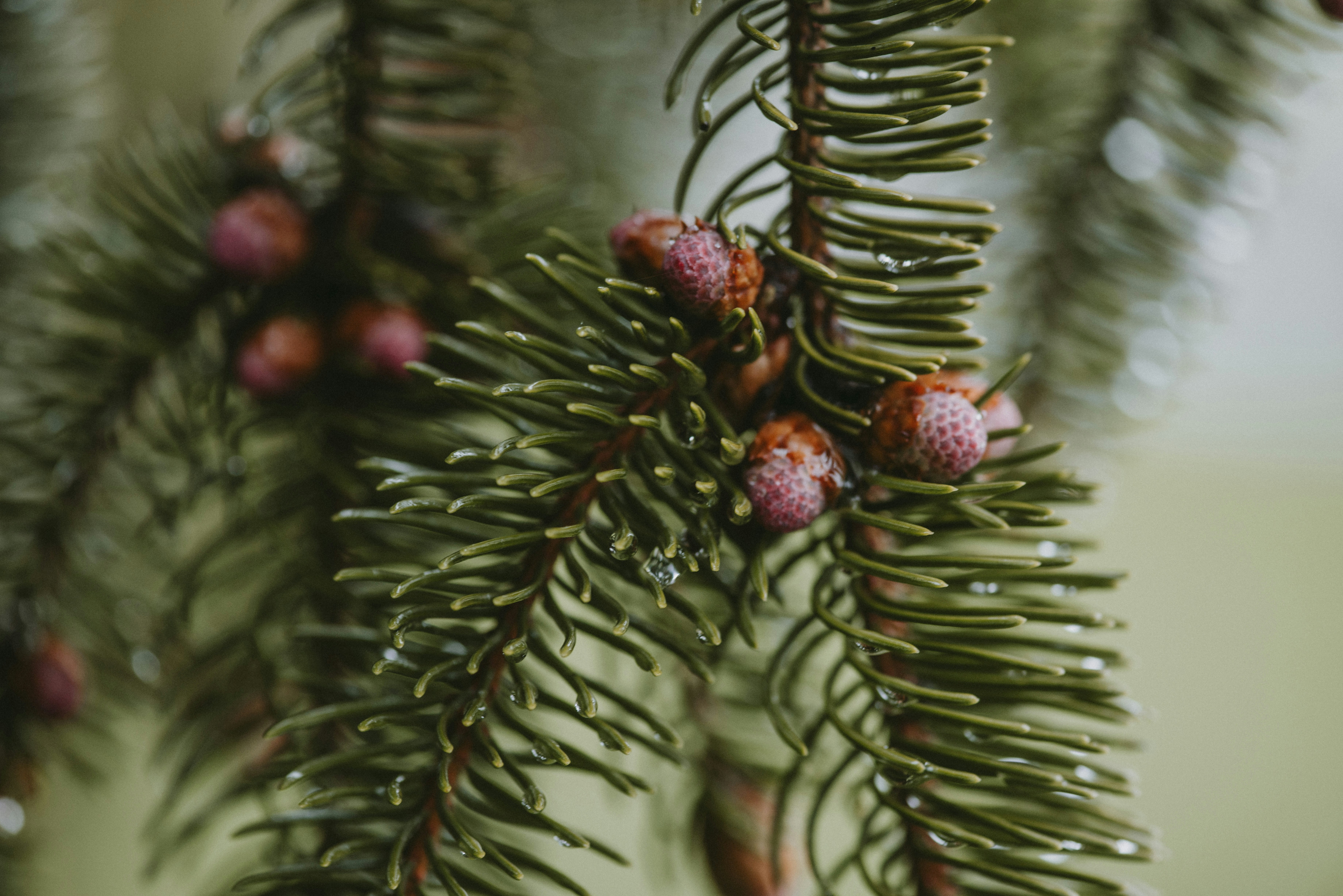 Photo by anitaaustvika