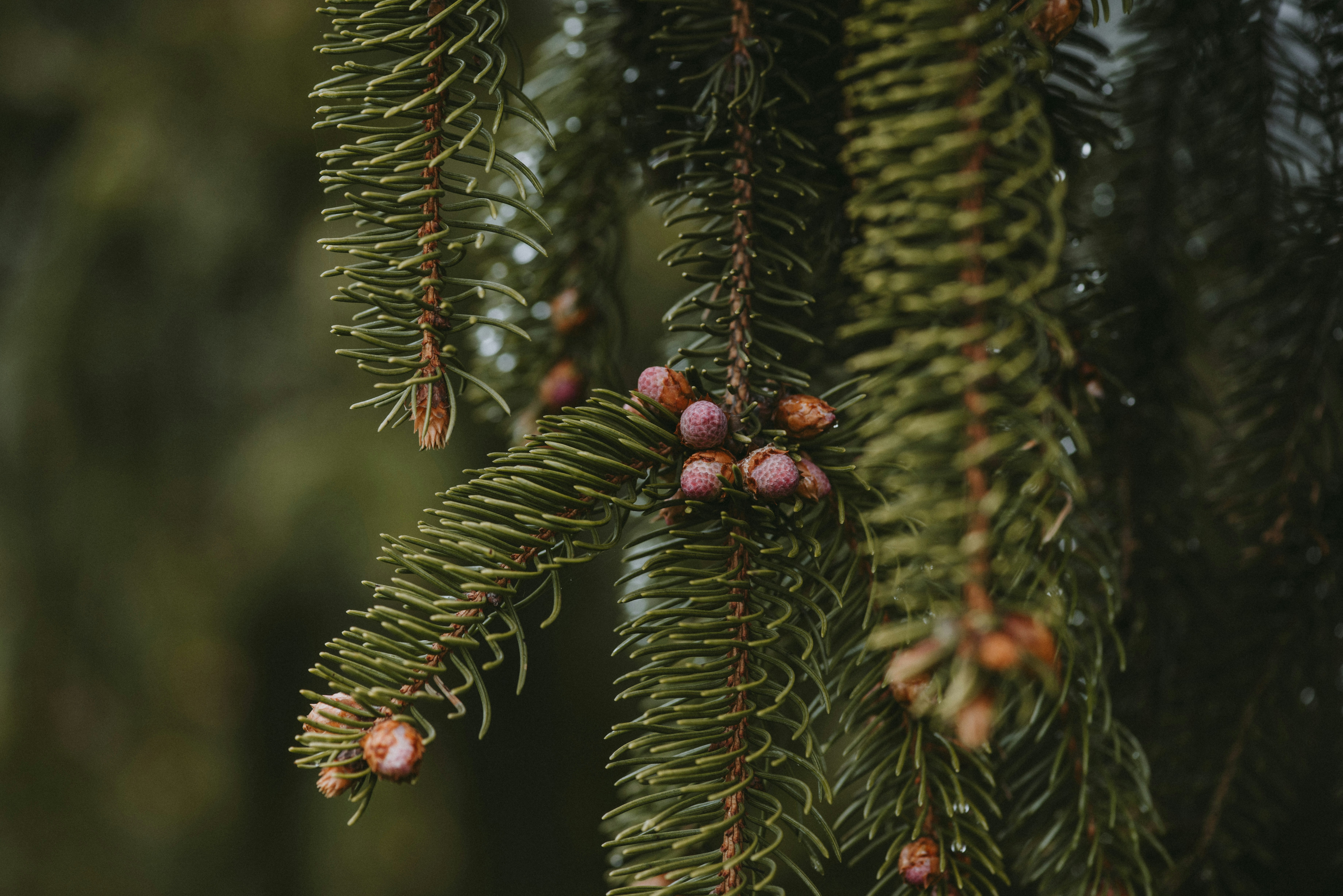 Photo by anitaaustvika