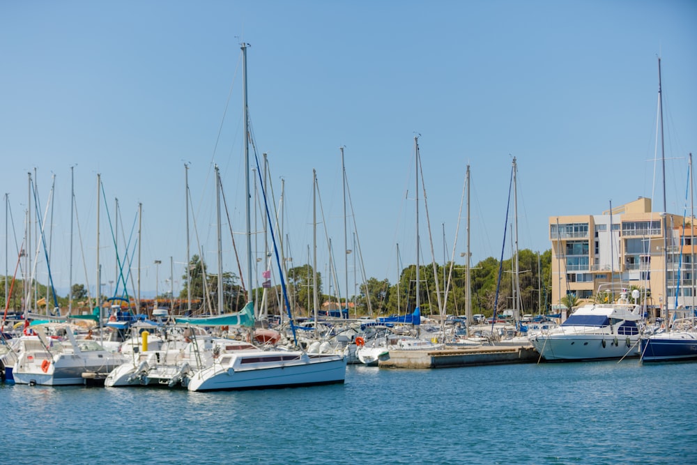 a harbor filled with lots of white boats