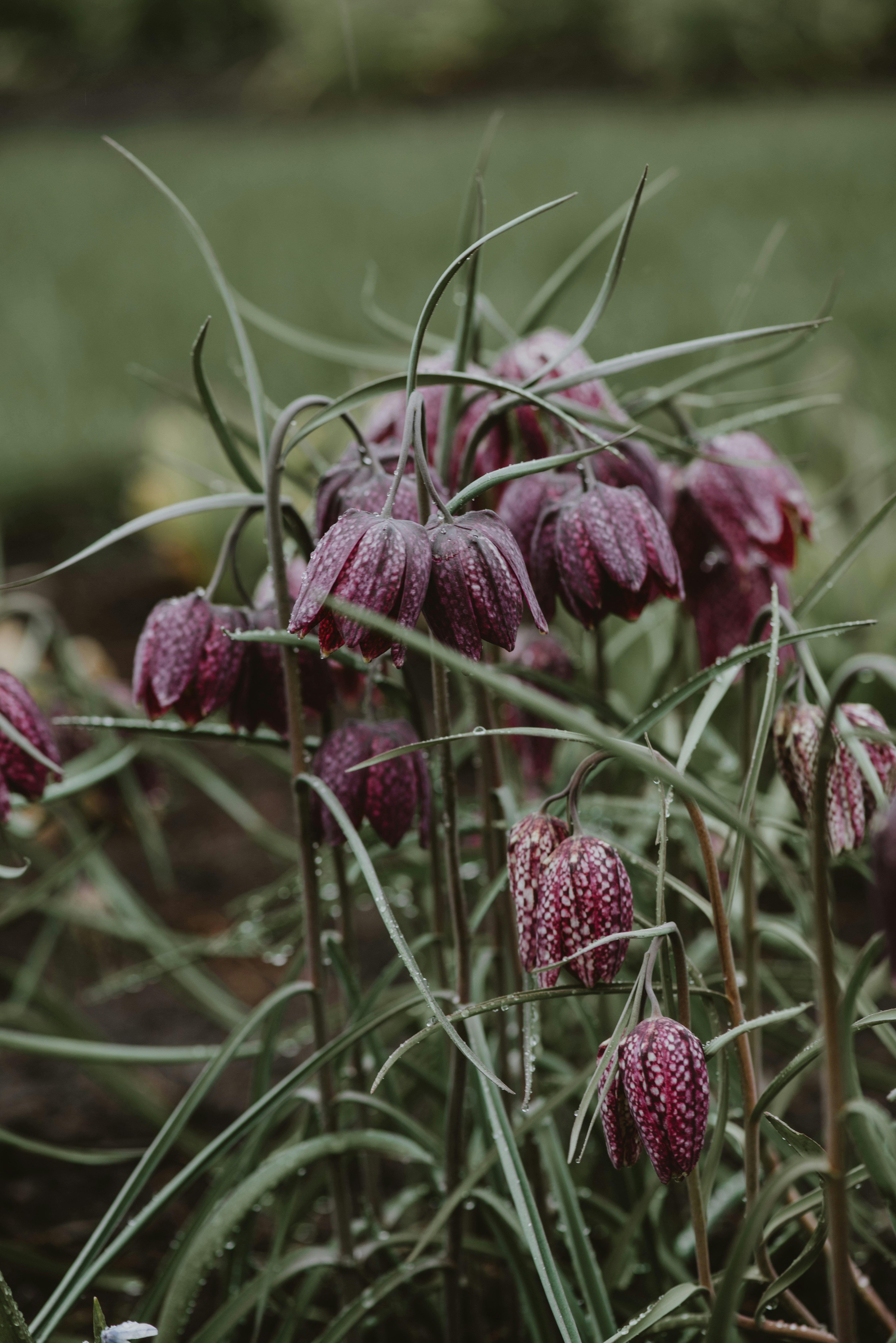 Photo by anitaaustvika