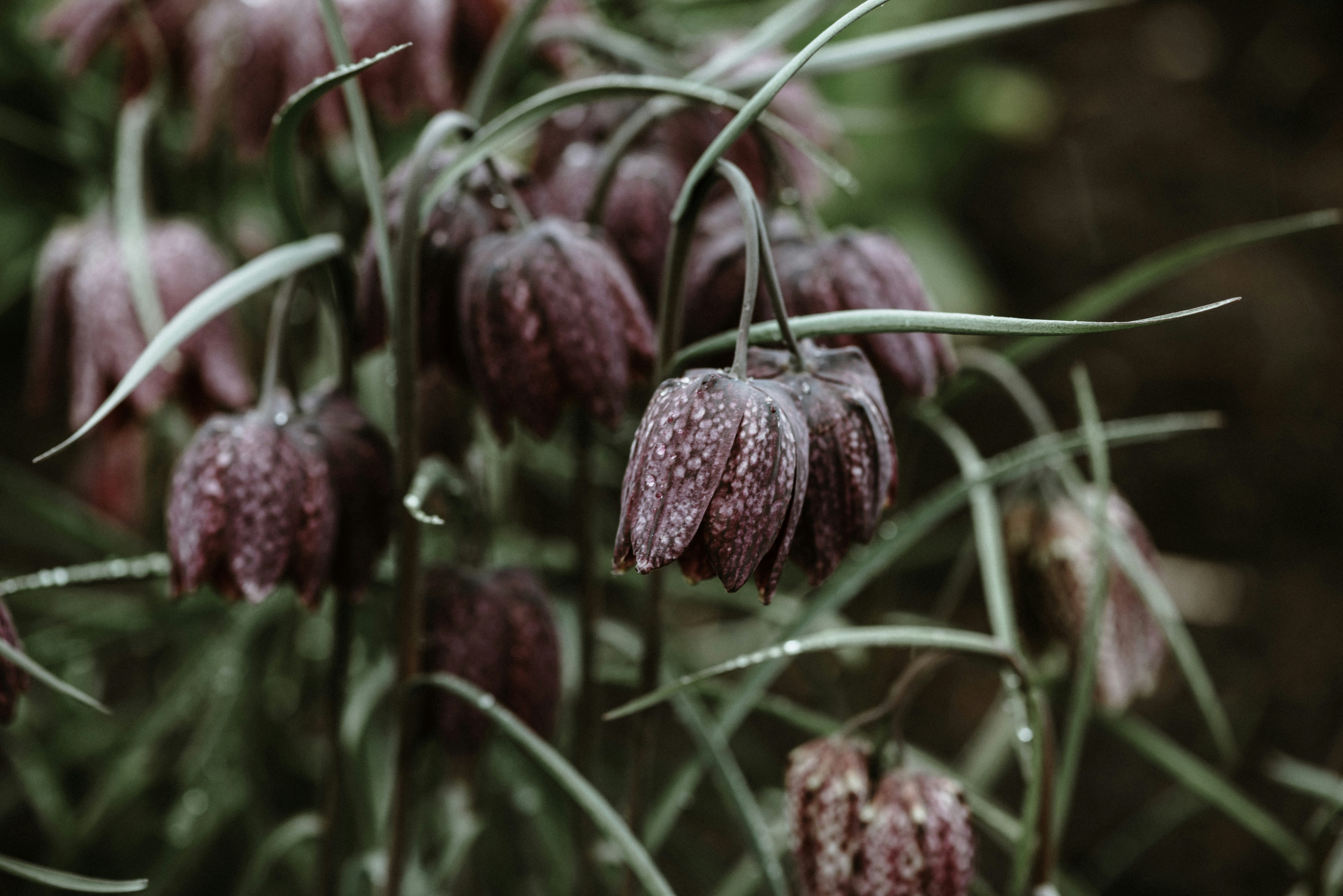 Photo by anitaaustvika