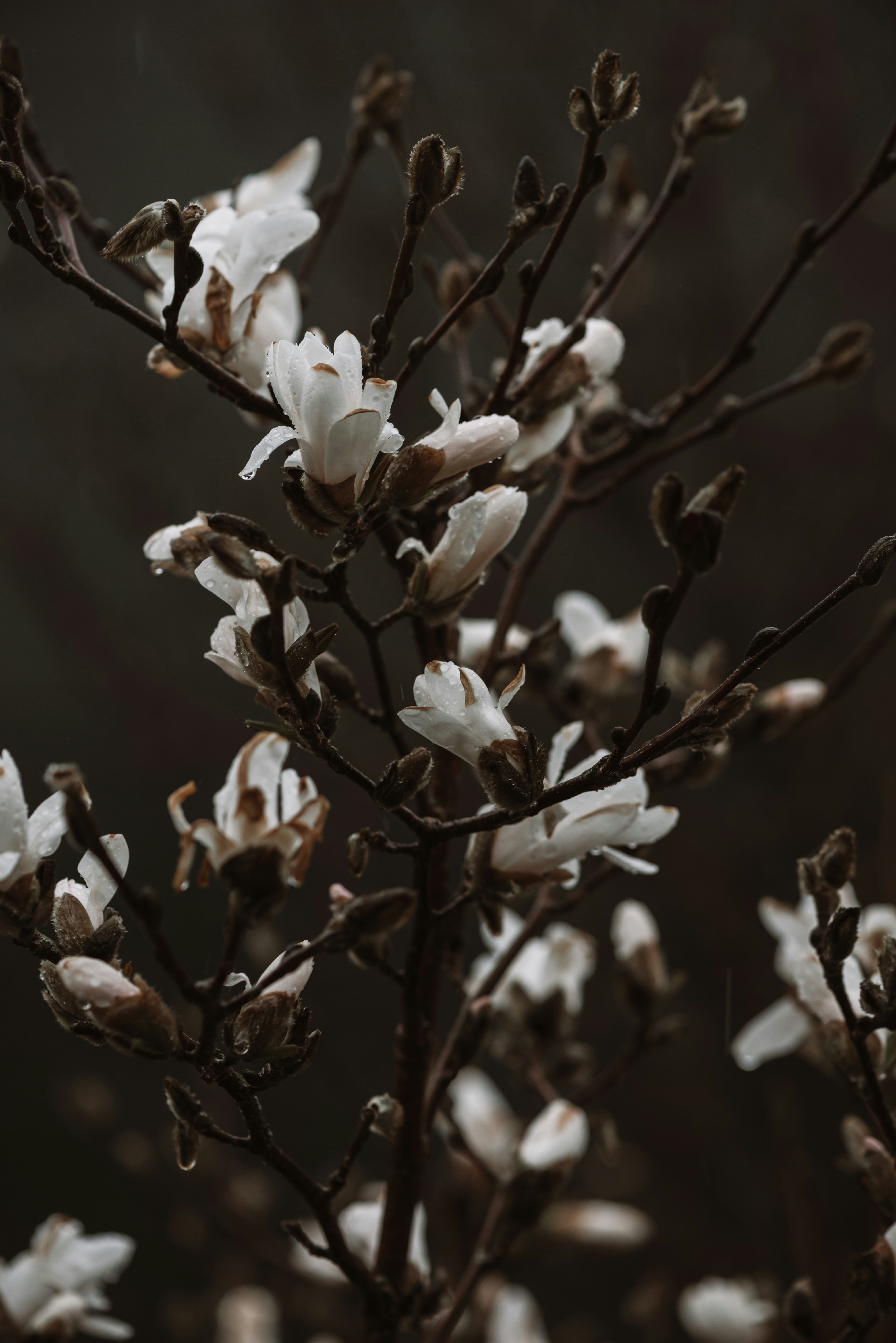 Photo by anitaaustvika