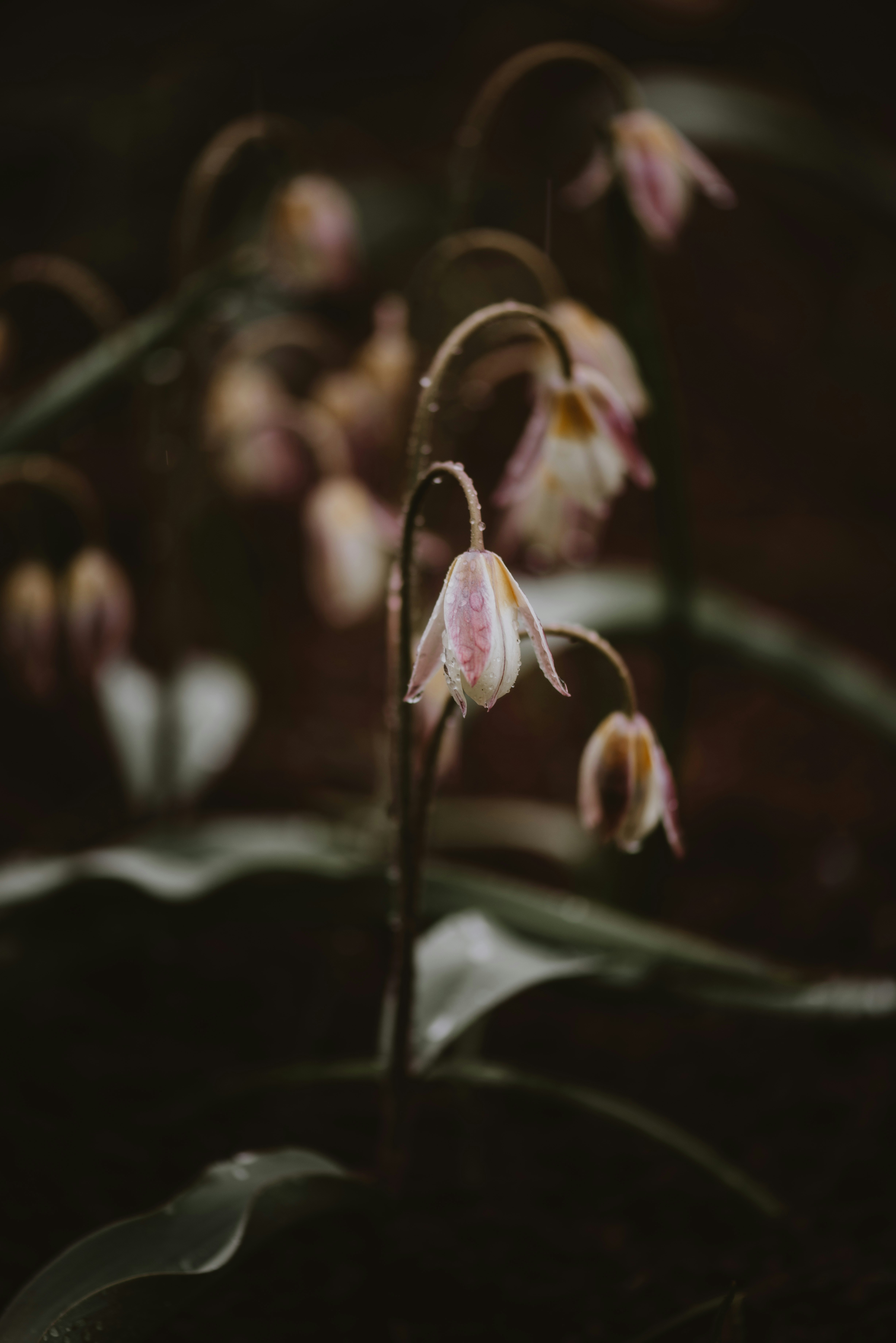 Photo by anitaaustvika