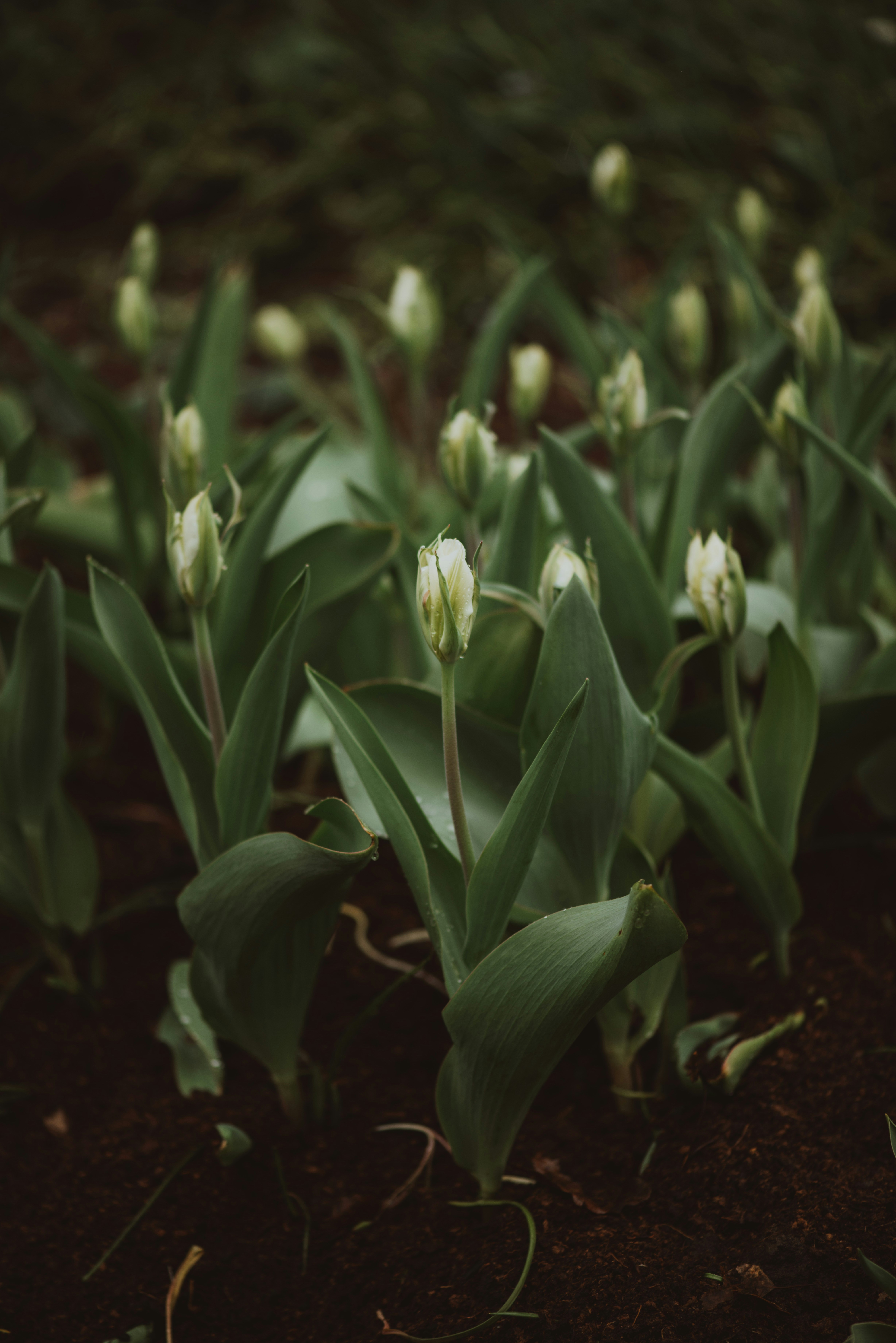 Photo by anitaaustvika