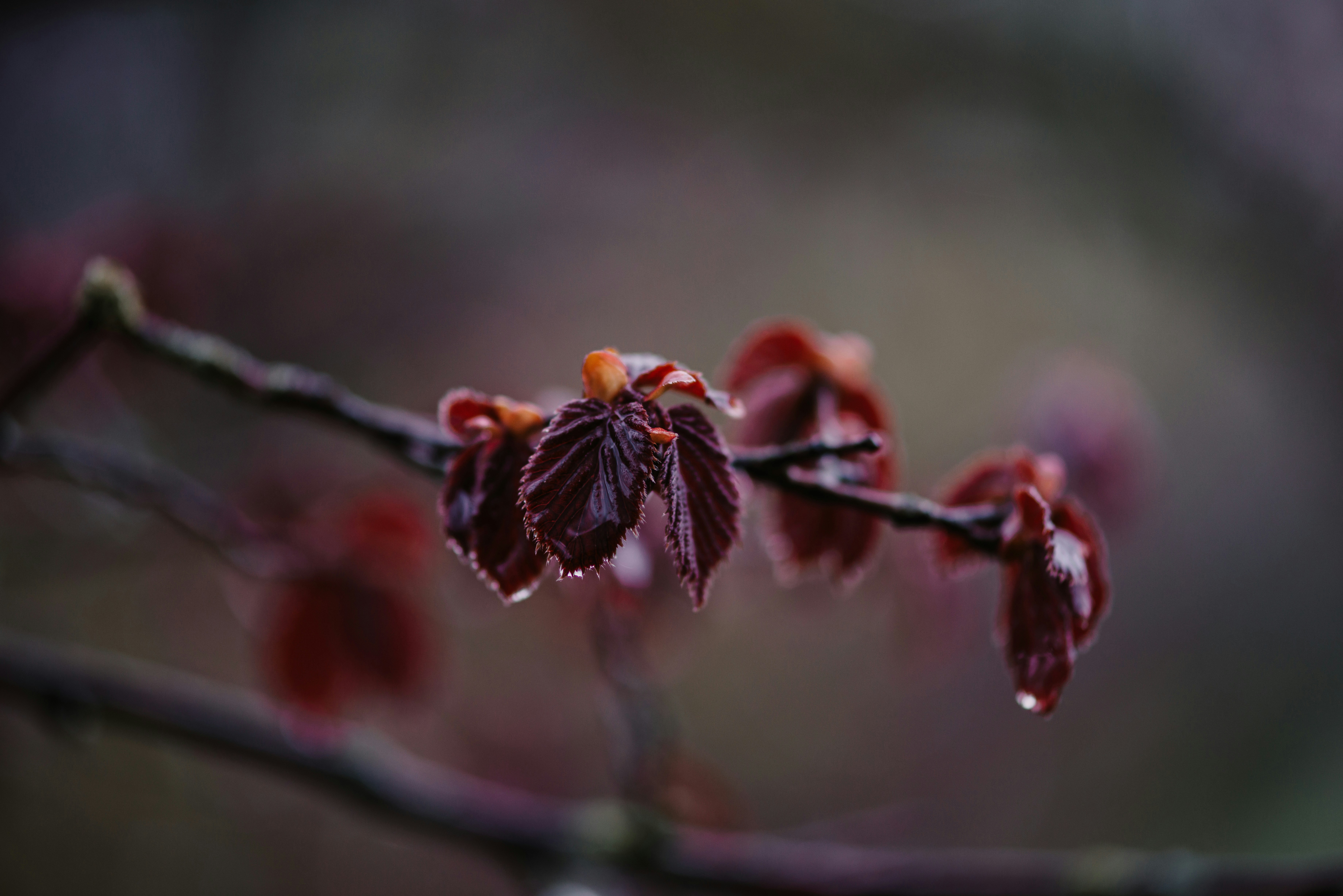 Photo by anitaaustvika